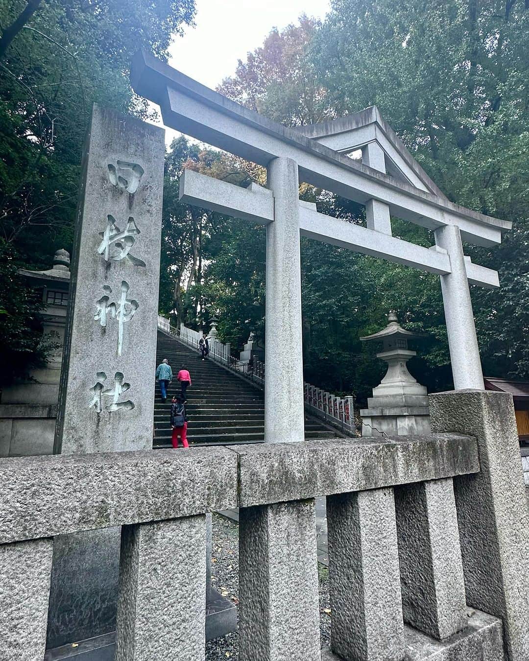 ゆりあさんのインスタグラム写真 - (ゆりあInstagram)「＊ご報告＊ 私事ではありますが、この度大切な新しい命を授かりました。 無事安定期に入り、安産祈願のため日枝神社にお詣りをしました。  つわりは全く無くたくさん食べているおかげか、赤ちゃんも平均より少し大きめにすくすくと育っております👼🏻💕  妊娠が発覚してからは今まで出来なかったネイルをしたり、爆食&アラーム無しの睡眠、読書や勉強をする時間も楽しくて、意外と充実しています。  (とにかく眠いのだけがツライ…) (ストーリーごはんばっかりでごめんなさい…笑)  「ゆっくりしてね、寝てね、食べてね」と優しすぎる旦那さん🐻のおかげで、妊婦生活や出産や育児に対して、何の不安もなく過ごせています。ありがとう🥹🤍  無事に産まれることを願いつつ、夫婦二人だけの生活と貴重なマタニティライフをしっかり楽しもうと思います。  -------------------------  変わらずInstagramを見てくださっている皆様、ありがとうございます。  一般OLだった私がモデルの仕事を始め、ミスワールドや舞台やオートサロンなど、様々な経験とこのアカウントを通して皆さんと繋がれていると思っています。  結婚して母になる一人の人間として、これからまた生き方が変わっていくかもしれませんが、温かく見守っていただけたら幸いです。  アップしたいものがたくさん溜まっている今日この頃。がんばります。  最後まで読んでくださりありがとうございました。  .  .  #妊娠報告 #安産祈願 #安産祈祷 #妊婦 #妊娠 #妊婦生活 #仲良し夫婦 #夫婦生活 #新婚生活 #日枝神社 #腹帯 #妊婦帯 #マタニティ #マタニティライフ #マタニティコーデ #ドレスワンピース #戌の日 #猿 #犬猿の仲 とは笑」11月24日 15時02分 - yuria___u
