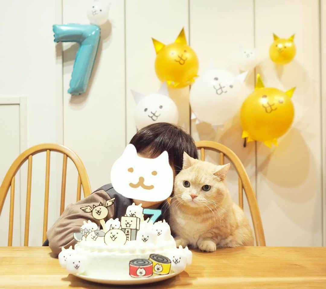 ぷーのインスタグラム：「弟、先日７歳になりました🎂✨  #7歳誕生日  #息子とぷーちゃん🐈  #happybirthday #にゃんこ大戦争 #にゃんこ大戦争ケーキ #マシュマロにゃん  だいぶ距離が近くなった2人😽」