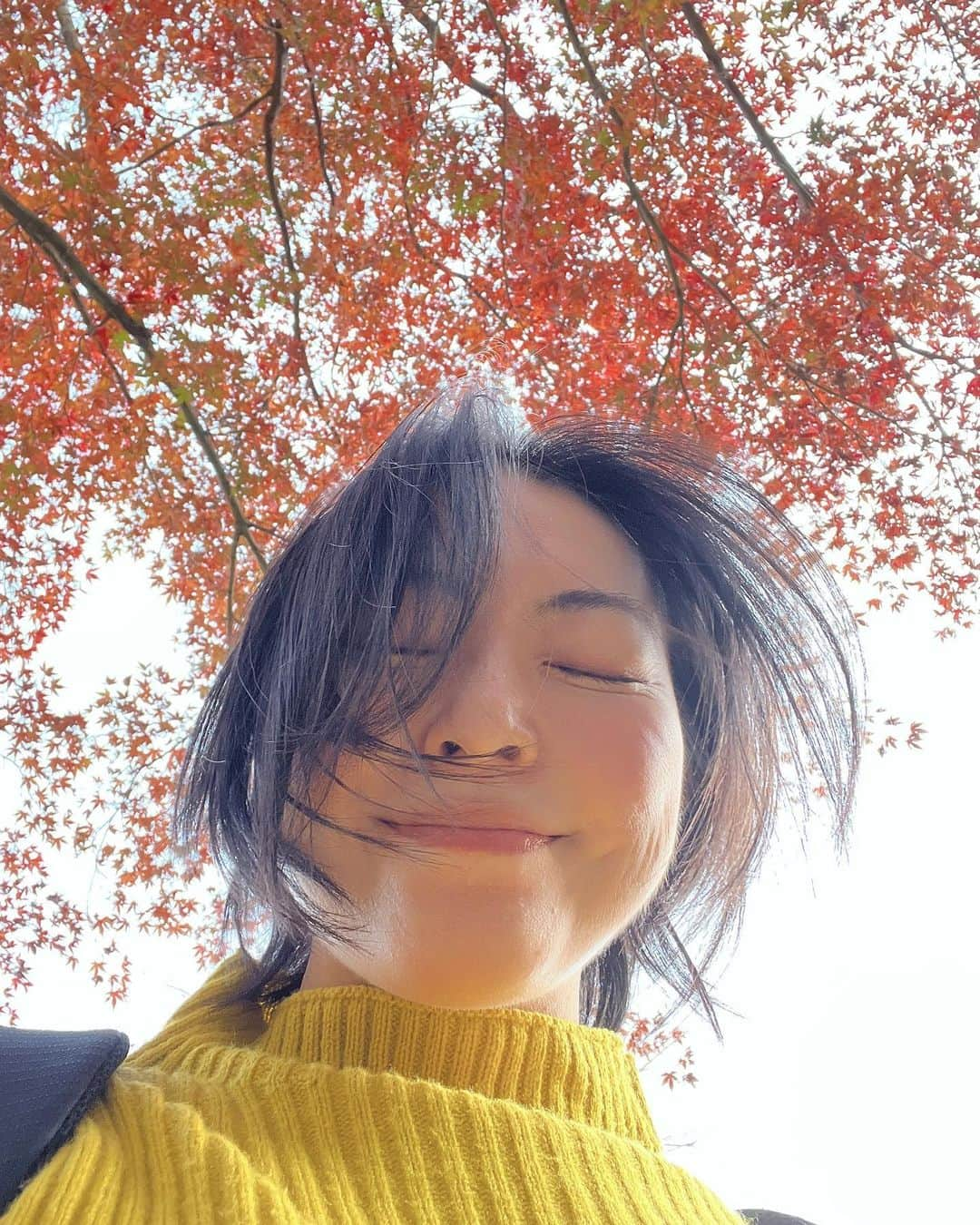 大禅師文子さんのインスタグラム写真 - (大禅師文子Instagram)「やっと来れた新宿御苑。 紅葉ってわざわざ見に行くものではないと思うけど 今日みたいな日はちょうどいいかもね。 11月末にして23℃。 ちょうどイチョウと同じ色してる。  #新宿御苑 #やっと来た #上京17年 #前回は休園日だった #紅葉と花見にはあまり興味がない#でも綺麗 #観光気分 #秋晴れ #nice」11月24日 15時29分 - daizenjifumiko