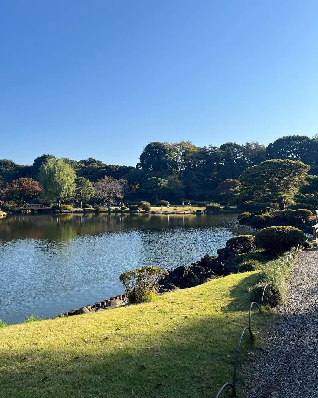 大禅師文子さんのインスタグラム写真 - (大禅師文子Instagram)「やっと来れた新宿御苑。 紅葉ってわざわざ見に行くものではないと思うけど 今日みたいな日はちょうどいいかもね。 11月末にして23℃。 ちょうどイチョウと同じ色してる。  #新宿御苑 #やっと来た #上京17年 #前回は休園日だった #紅葉と花見にはあまり興味がない#でも綺麗 #観光気分 #秋晴れ #nice」11月24日 15時29分 - daizenjifumiko