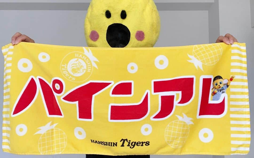 パインのインスタグラム：「ななななんと！！！ まさかの！！！  ＼パインアレ フェイスタオル販売開始／ 11/25（土）から発売！  タイガースチームショップアルプス、ファンショップダグアウトは朝９時～（予定）、阪神百貨店、京王百貨店、T-SHOPは朝10時から発売いたします！ ぜひゲットしてください🐯  ※店頭での販売には数に限りがございますので、お並び頂いてもご購入いただけない場合がございます。 ※T-SHOPでは受注販売になります。 ※商品について詳しくはT-SHOPのホームページでご確認をお願いいたします。  #パインアレフェイスタオル #パインアレ #パインアメ #阪神タイガース」