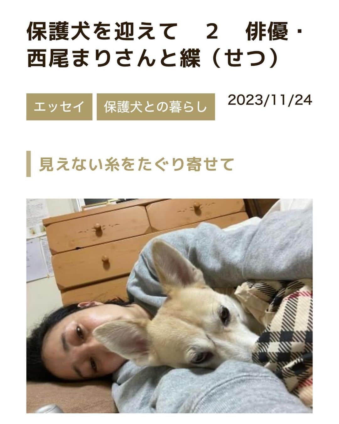 西尾まりさんのインスタグラム写真 - (西尾まりInstagram)「えええっと。だらしない人間が横たわってる印象しかない写真なんですが、せっちゃんとの事を、譲渡センターの方が取り上げてくださいました！ 良かったらご覧ください。 #元保護犬 #せっちゃん @peacewankojapan」11月24日 15時41分 - mari_nishio_official