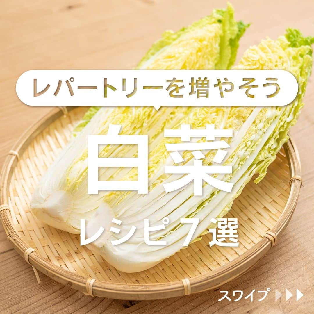 KURASHIRUのインスタグラム：「※保存しておくとあとで見返せます👆 レパートリーを増やそう 「白菜」レシピ7選  ①白菜と豚肉のうま煮 ②チーズたっぷり白菜とウインナーのクリーム煮 ③白菜と鶏もものガリバタ炒め ④とろーりあんかけ 白菜ロール ⑤白菜とツナのピリ辛和え ⑥フライパンひとつで ツナのトマトクリームパスタ ⑦お手軽絶品 濃厚つけ麺  「材料・手順」は投稿文をチェック↓  白菜をもっと美味しく味わいたい方必見！ DMで保存方法のコツお届けします🥬 「白菜」とコメントしてね♪   ————————————————————  初心者さんでも作れる！ 簡単・時短レシピを毎日発信中👩🏻‍🍳🍳 5,800万人が利用するクラシルの公式Instagram @kurashiru のフォローをお願いします✨  参考になったという方は「保存🔖」 美味しそうって思った方は「いいね♥︎」してね!   ————————————————————   ———————————————————— ①白菜と豚肉のうま煮  【材料】 2人前 豚バラ肉（薄切り）　　　 200g 塩こしょう　　　　　　　 ひとつまみ 片栗粉　　　　　　　　　 大さじ2 白菜　　　　　　　　　　 200g にんじん　　　　　　　　 50g 水　　　　　　　　　　　100ml (A)しょうゆ　　　　　　　小さじ2 (A)オイスターソース　　　小さじ2 (A)砂糖　　　　　　　　　小さじ2 (A)鶏ガラスープの素　　　 小さじ1/2 水溶き片栗粉　　　　　　大さじ1 ごま油　　　　　　　　　大さじ1/2  【手順】 にんじんは皮をむいておきます。 1. 白菜はざく切りにします。にんじんは短冊切りにします。 2. 豚バラ肉は3cm幅に切ります。 3. ボウルに2と塩こしょうを入れて揉み込み、味がなじんだら片栗粉を入れ、全体にまぶします。 4. 中火で熱したフライパンにごま油をひき、3を入れて炒めます。 5. 豚バラ肉に火が通ったら、1を入れて中火のまま炒めます。 6. 油が回ったら、水、(A)を入れ、蓋をして弱火で5分程煮ます。 7. 白菜が柔らかくなったら、水溶き片栗粉を回し入れ、弱火でとろみが出るまで加熱します。 8. 火から下ろし、器に盛り付けて完成です。  【コツ・ポイント】 水溶き片栗粉は、片栗粉1、水2の割合で作ってください。また、使用量はとろみの様子を見てお好みで調整してください。   ————————————————————   ———————————————————————————— 他のレシピは、後日「コメント欄」に掲載します！ ぜひ「保存」してお待ちください✨  ————————————————————————————  #クラシル #クラシルごはん #料理 #レシピ #時短 #簡単レシピ #手料理 #献立 #おうちごはん #手作りごはん #今日のごはん #朝ごはん #昼ごはん #ランチ #夜ごはん #晩ごはん #節約ごはん #節約レシピ #管理栄養士 #管理栄養士監修 #白菜 #白菜レシピ #豚肉 #クリーム煮 #ガリバタ炒め #白菜ロール #ツナ #クリームスープ #酒蒸し」