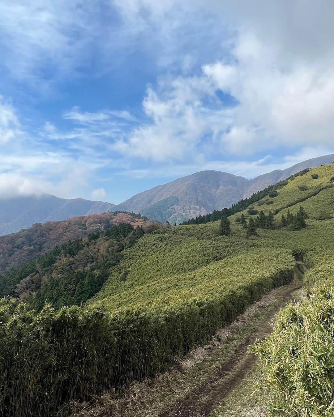 西村まどかさんのインスタグラム写真 - (西村まどかInstagram)「山の天気は変わりやすい 山頂、富士山が見えるはずなのに真っ白😇 こんな時もあるよね〜〜✌︎  この時期でも暑くて半袖でした。(11月頭)  暖冬の影響で、今年は全国的に紅葉が遅れてて まだちょっと早かったけど、充分絶景だった☀︎  このあと、一つ前の投稿の温泉へいきました♨️  #金時山 #箱根 #絶景スポット  #登山女子 #山登り #登山」11月24日 16時14分 - madoka_nsmr