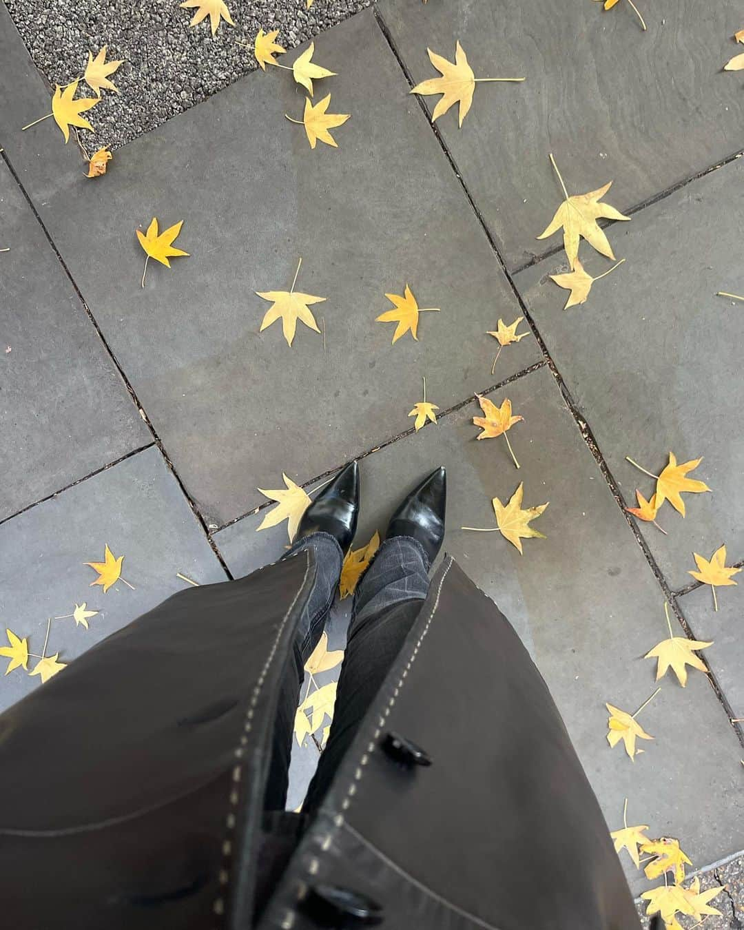 エレナ・アレジ・後藤のインスタグラム：「fall days 🍂🤎」