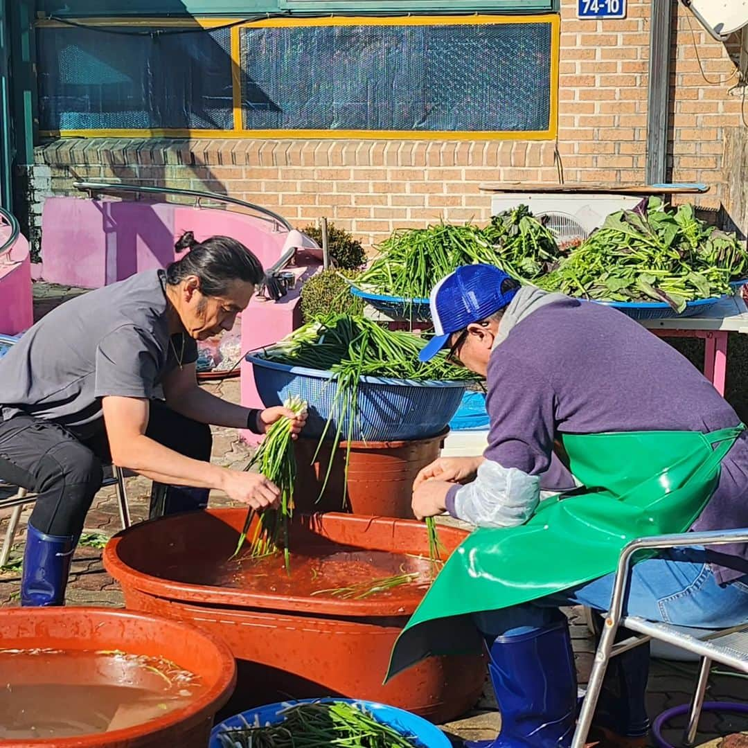 キム・ウォニさんのインスタグラム写真 - (キム・ウォニInstagram)「며칠전 요양원 김장봉사🥬 어벤져스 출동 원래 영하의 날씨가 예보되어 있었는데 햇님이 빵긋해주셔서 일하기 너무 좋았다. 배추,무,갓,파,양파 닥치는대로 씻고 썰고ㅎㅎ 어쩜이리 손발이 착착 맞는지~ 오랜봉사활동으로 다져진 우리의 팀워크가 빛을 발한 날😎 아직 솰아있눼~~~  수년동안 방문한 김장봉사팀중에 가장 잘한다고 칭찬받고 내년김장봉사까지 악속해드림ㅎ 너무 맛있는 메밀수제비 한사발씩 들이키고 배추전에 이것저것 마구마구 내오심. 무김치도 싸주시고 너무너무 융슝한 대접받고 아주 기분 째지게 철수🤭  #며칠전 #요양원김장봉사」11月24日 16時56分 - wonhee_k