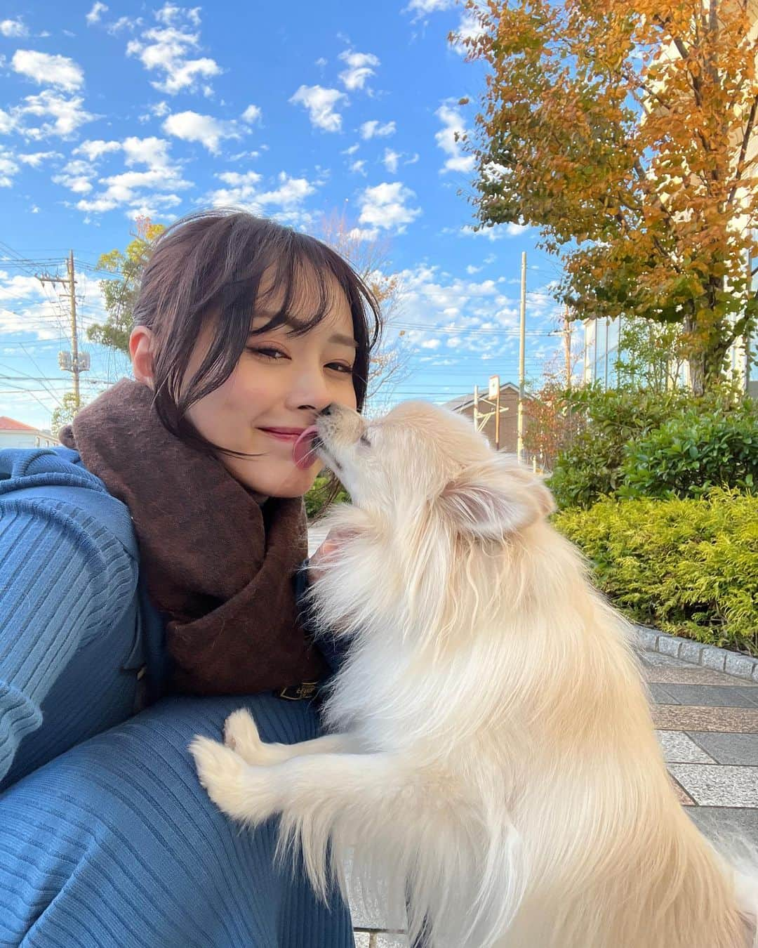 待鳥志織さんのインスタグラム写真 - (待鳥志織Instagram)「ラブラブショット3連発🐶❤️🤍 お散歩中に天気良かったから撮ってみたら こんなサービスいただいちゃって連写しちゃった親バカ飼い主であった...普通に側から見ても変な光景(笑) ほーんとにダイスキ！！毎日ありがとうだいふく！」11月24日 17時02分 - __.shiori_