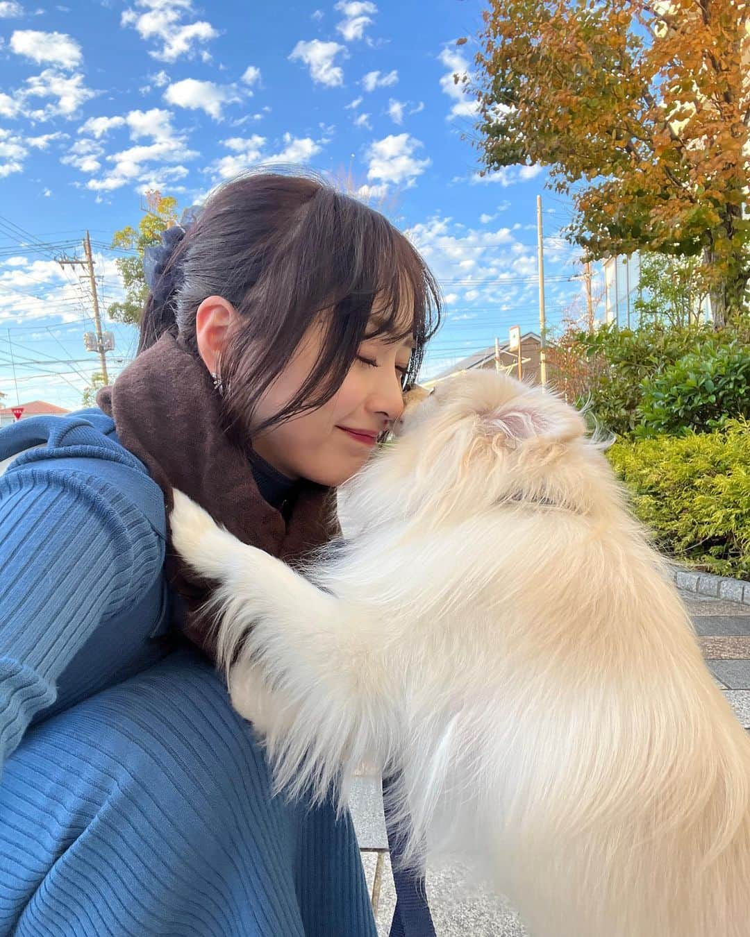 待鳥志織さんのインスタグラム写真 - (待鳥志織Instagram)「ラブラブショット3連発🐶❤️🤍 お散歩中に天気良かったから撮ってみたら こんなサービスいただいちゃって連写しちゃった親バカ飼い主であった...普通に側から見ても変な光景(笑) ほーんとにダイスキ！！毎日ありがとうだいふく！」11月24日 17時02分 - __.shiori_