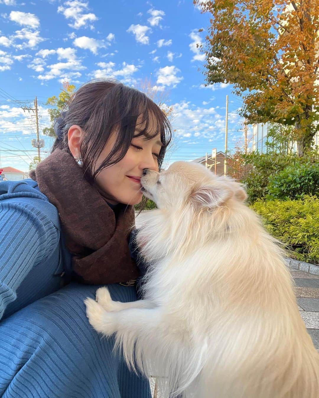 待鳥志織さんのインスタグラム写真 - (待鳥志織Instagram)「ラブラブショット3連発🐶❤️🤍 お散歩中に天気良かったから撮ってみたら こんなサービスいただいちゃって連写しちゃった親バカ飼い主であった...普通に側から見ても変な光景(笑) ほーんとにダイスキ！！毎日ありがとうだいふく！」11月24日 17時02分 - __.shiori_