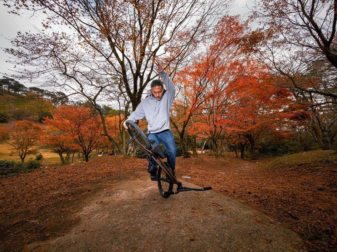 宇野陽介さんのインスタグラム写真 - (宇野陽介Instagram)「寒くなったり暖かくなったり凄く変な11月。 紅葉もあっという間に見れなくなるかな？ 気候変動の影響で日本の四季が無くなり二季になる。 と、言う説もありますが…  雪が降って厳しくなる前にBMXを堪能。  🍁🍁🍁  #aresbikes  #bmx  #flatland  #XXFRAME #freestylebmx  #dvsshoes  #兵庫県 #自然 #猪名川 #写真 #自転車 #lumixjapan  #lumixgh6  #lumix」11月24日 17時18分 - yorkuno