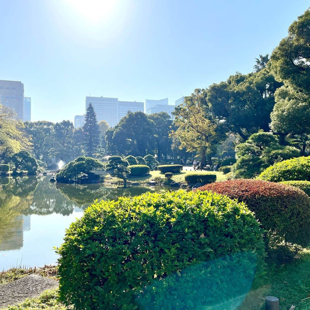 The Peninsula Tokyo/ザ・ペニンシュラ東京さんのインスタグラム写真 - (The Peninsula Tokyo/ザ・ペニンシュラ東京Instagram)「今日は11月下旬とは思えない暖かさでしたね。そんな日は日比谷公園の陽だまりで少し休憩。ザ・ペニンシュラ東京からも歩いてすぐの距離です。皆さま、素敵な週末をお過ごしください♪  Taking a leisurely stroll in Hibiya Park, just steps away from The Peninsula Tokyo. Enjoying the city vibes and nature’s calm all in one place.」11月24日 17時21分 - thepeninsulatokyo