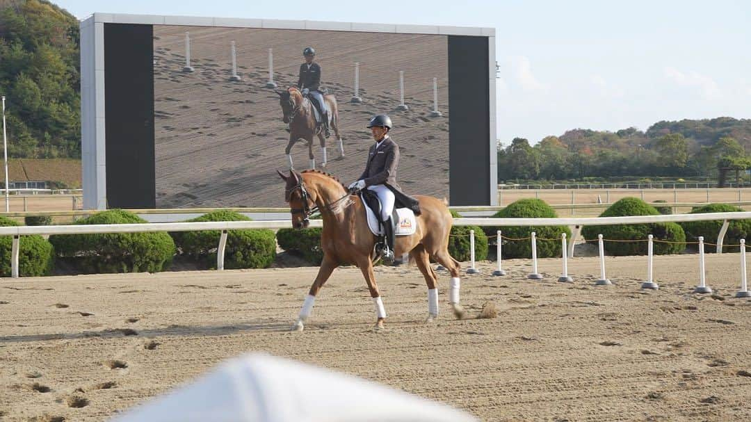 林伸伍のインスタグラム：「佐賀競馬場で行われたさがけいば祭りにて馬場馬術のデモンストレーションをさせていただきました🐎 競馬ファンの皆様に馬術競技の魅力を少しでも伝えられたらと常々考えている身としてこのような機会をいただいて大変ありがたい限りです😊 日本の競馬ファンは世界一です 今後も馬や馬術の魅力を伝えていけるように頑張ります🫡  #馬術 #馬場馬術 #馬 #乗馬 #horse #dressage #equestrian  #horseriding #horselife  #horsesofinstagram #さがけいば #競馬」