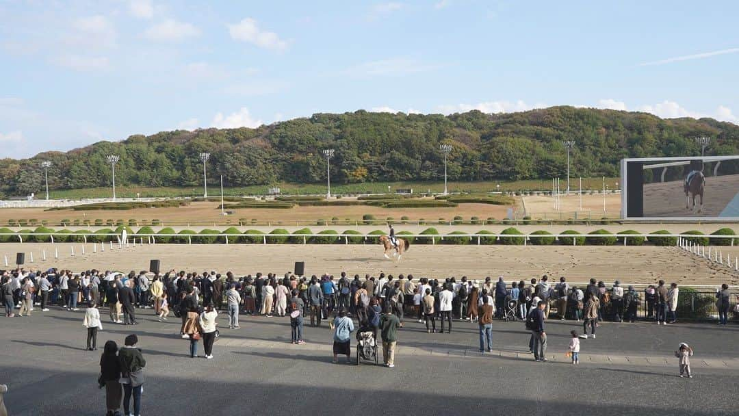 林伸伍さんのインスタグラム写真 - (林伸伍Instagram)「佐賀競馬場で行われたさがけいば祭りにて馬場馬術のデモンストレーションをさせていただきました🐎 競馬ファンの皆様に馬術競技の魅力を少しでも伝えられたらと常々考えている身としてこのような機会をいただいて大変ありがたい限りです😊 日本の競馬ファンは世界一です 今後も馬や馬術の魅力を伝えていけるように頑張ります🫡  #馬術 #馬場馬術 #馬 #乗馬 #horse #dressage #equestrian  #horseriding #horselife  #horsesofinstagram #さがけいば #競馬」11月24日 17時25分 - hayashingo0125