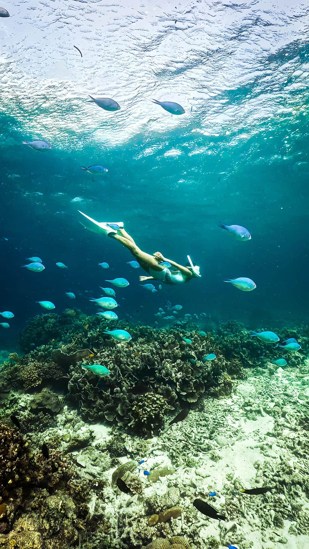 近藤あやのインスタグラム：「📍Cebu, The Philippines🇵🇭⠀ ⠀ フィリピン・セブ島でシュノーケリング！ あいにくの天気だったけど、お魚さん達は バッチリ撮れました🐠🏝✨⠀ ⠀ 水中での撮影は、 @goprojp #Hero12と @inon_japan を使用しています🙌📸⠀ ⠀ @cebuocto のお陰で、セブ島でも いい映像が撮れました！Thank Youuuu😆🏝⠀ ⠀ #フィリピン #セブ島 #セブ島旅行 #シュノーケリング #inon #inonlens #GoPro #ゴープロ #ゴープロのある生活 #philippines #cebu #schnorchel #ocean #GoProjp」