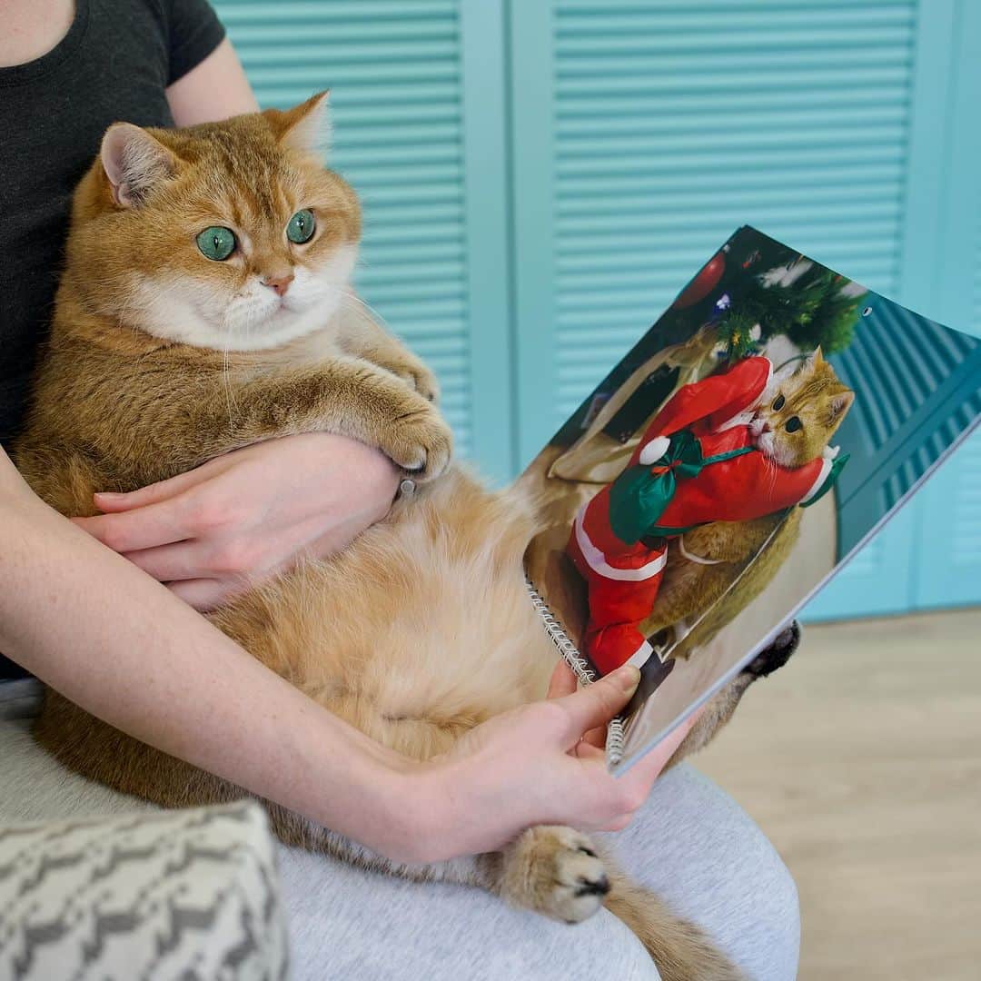 Hosicoさんのインスタグラム写真 (HosicoInstagram)「Up 50 Off Black Friday! 14.95