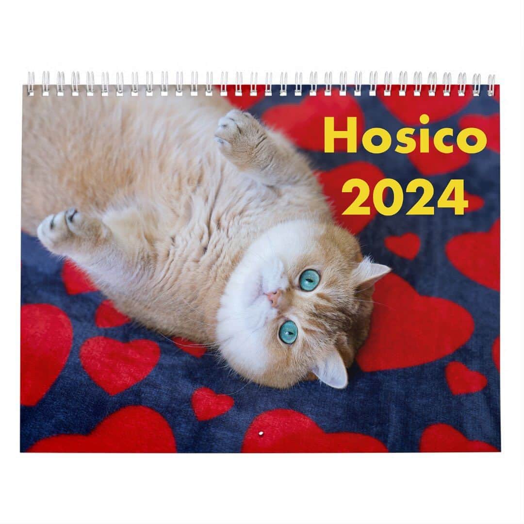 Hosicoさんのインスタグラム写真 - (HosicoInstagram)「Up 50% Off Black Friday! $14.95 per calendar! 🌟💚 Use Code: CYBERTUE2023 Limited edition Hosico Calendar 2024 is Now Available! Beautiful full color photos of me will for sure make you smile through the whole year. International delivery! 🔗 link in bio @hosico_cat 🥐」11月24日 17時48分 - hosico_cat