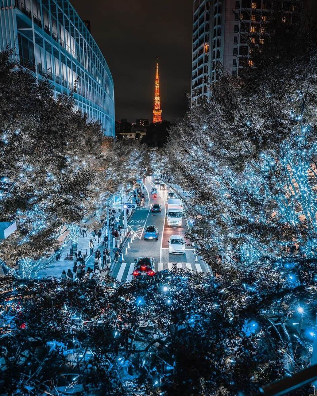 東京タワーのインスタグラム：「. 六本木けやき坂通りの 「けやき坂イルミネーション✨」   まるで一面雪景色のような 青いイルミネーションの先には、 ランドマークライトで輝く東京タワーが✨   東京タワーのあたたかみある ライトアップの光を 一層引き立たせてくれています！   本日は、Your Tokyo Tower🗼から @m_dada_i さんのお写真をご紹介！   素敵なお写真をありがとうございました😊  ———————————  【 お知らせ 】  ■ 公式LINE  東京タワー公式LINEでは 東京タワーのイベント情報を お届けしています！  詳細はプロフィールにあるリンクから↓ @tokyotower_official  ■ Your Tokyo Tower 🗼  # your_tokyotowerで あなたの東京タワーをリポスト！  @tokyotower_official の タグ付けをしてくれると見つけやすいよ！  皆様からの投稿 どしどしお待ちしております！  ———————————  #東京タワー #東京タワー🗼 #tokyotower #tokyotower🗼  #イルミネーション #illumination  #六本木」