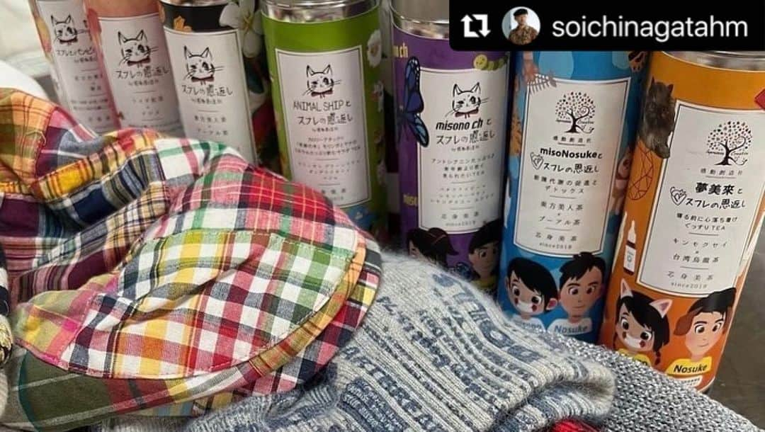 misoNosukeのインスタグラム：「. . ハンチングやニット帽といえば 永田っち♡なので（笑）  ↓  #Repost @soichinagatahm with @use.repost  misonoさんのYouTubeに 子ども食堂の動画がございますが  お子様にプレゼントされた帽子のお裾分けが 贈られてきたので早速かぶっております（笑）  @beautytea_official @tomiko_matsuba @tsukaneko222 @nosukedrummer   しかもmisonoさんとNosukeさんの チャリティーグッズのお茶も入っていました！  misoNosukeさんが支援されている 動物愛護団体や福祉施設、子ども達に  売上の一部が寄付されます。 いつもありがとうございます😊  #misono #Nosuke #misoNosuke」