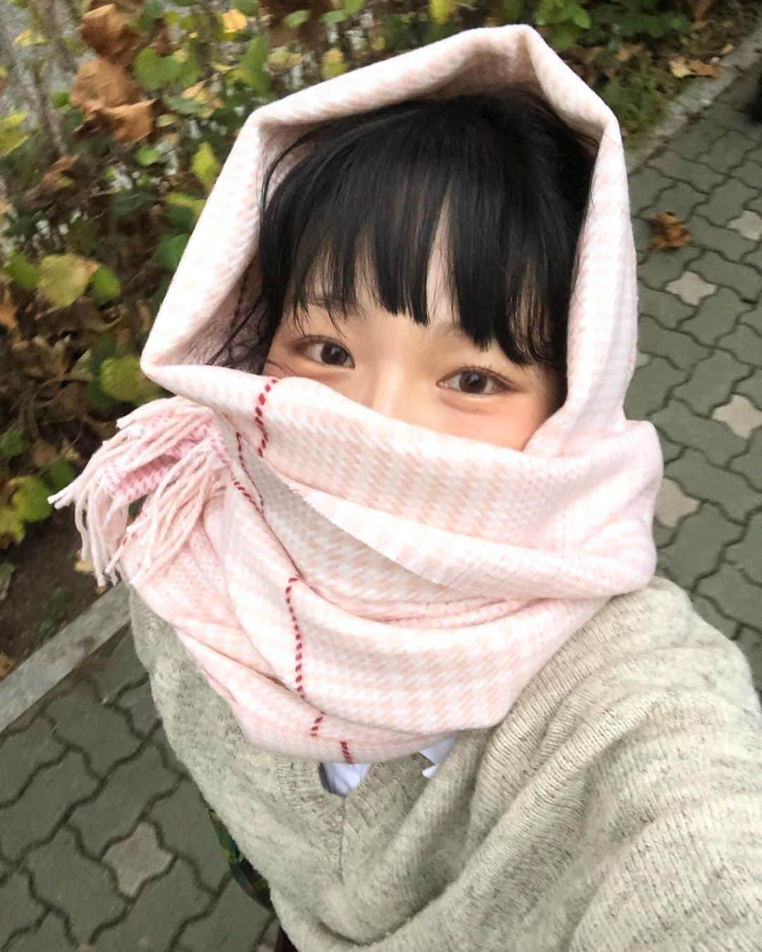 solsolのインスタグラム：「감기조심하세요˃̵ࡇ˂̵ ☃❄️❄️⛄️❄️⛄️☃️」