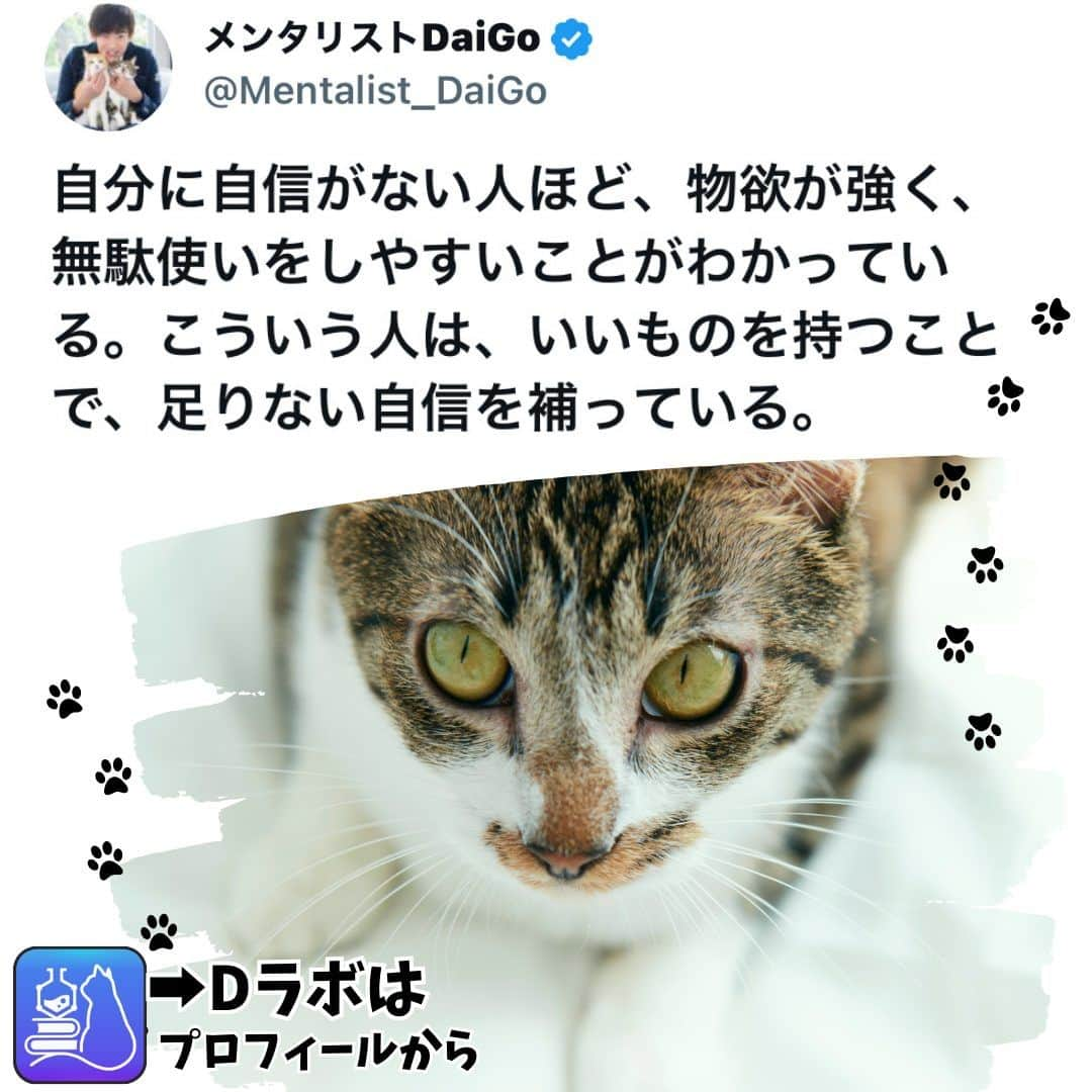 メンタリストDaiGoのインスタグラム：「🐈本日の名言📚 プロフィールからDラボもみてね  #心理学 #メンタリスト #dラボ  #dラボはプロフィールから」