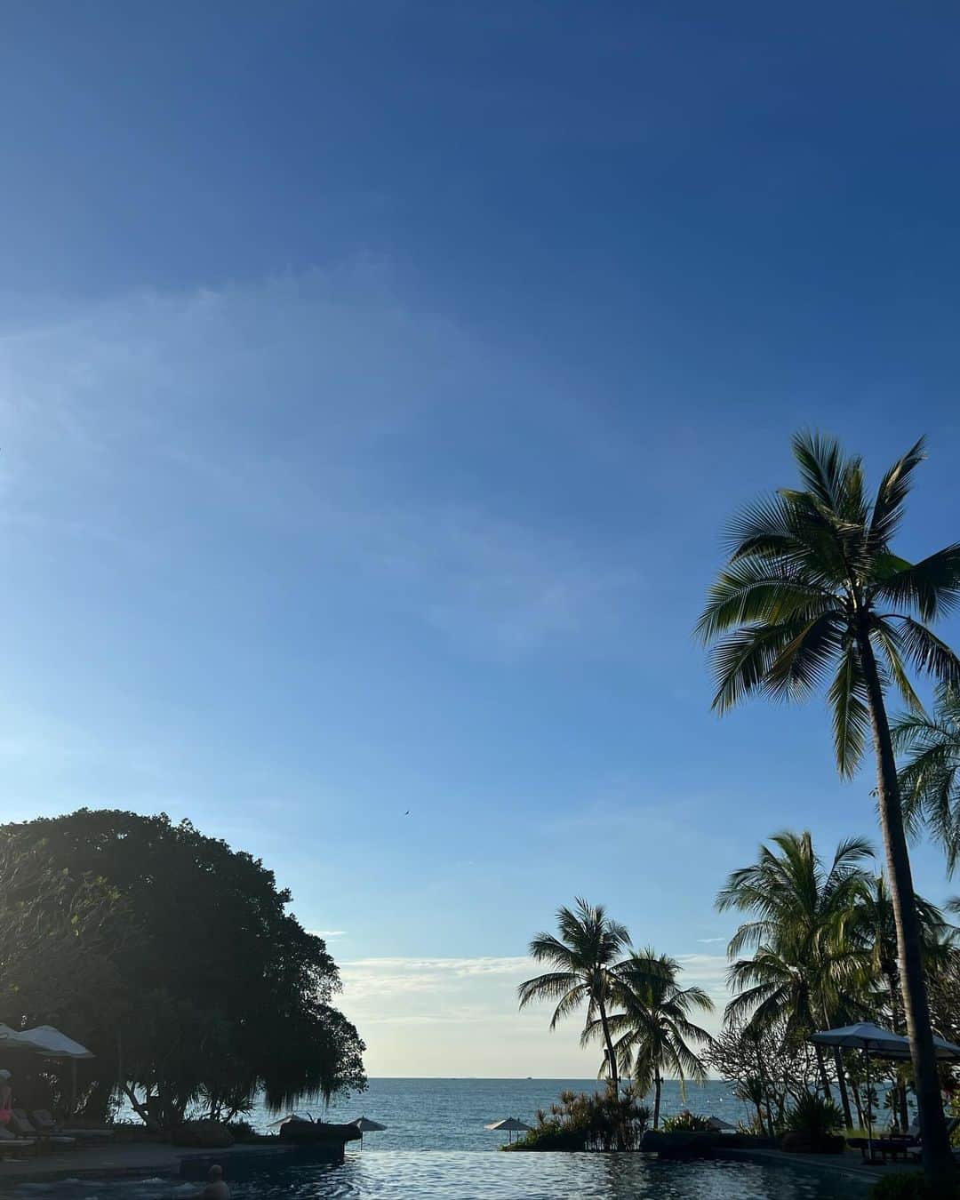イプシー・キーラティのインスタグラム：「unpretentious. 🍃」