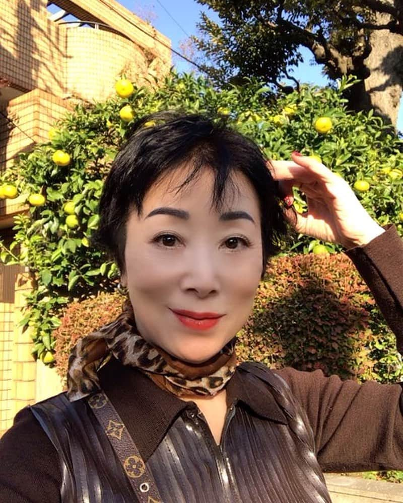 小川知子のインスタグラム：「なんて暖かいの？！ 家を出た途端、 ムワっとした風が。  薄いセーターでも暑いくらい。 半袖の人もいました。 何だか冬物の出番がなくなりそうな気候。  樹々も今年は紅葉真っ盛りという感じではないなー。  こういう気候はお寿司が美味しい🍣  京都旅行の土産話をしながら食べ物の情報交換。 「鱧カツが美味しいのよ〜」って言ったら、知らない！って板さんが。 京都では年中食べられるので羨ましい限りです。 スーパーでも普通に売ってるし。  ネイルはクリスマス仕様🎄 セルフネイルよ💅  #寿司🍣 #成城 #鱧カツ #土産話 #何この暑さ #クリスマスネイル #セルフネイル #小川知子」