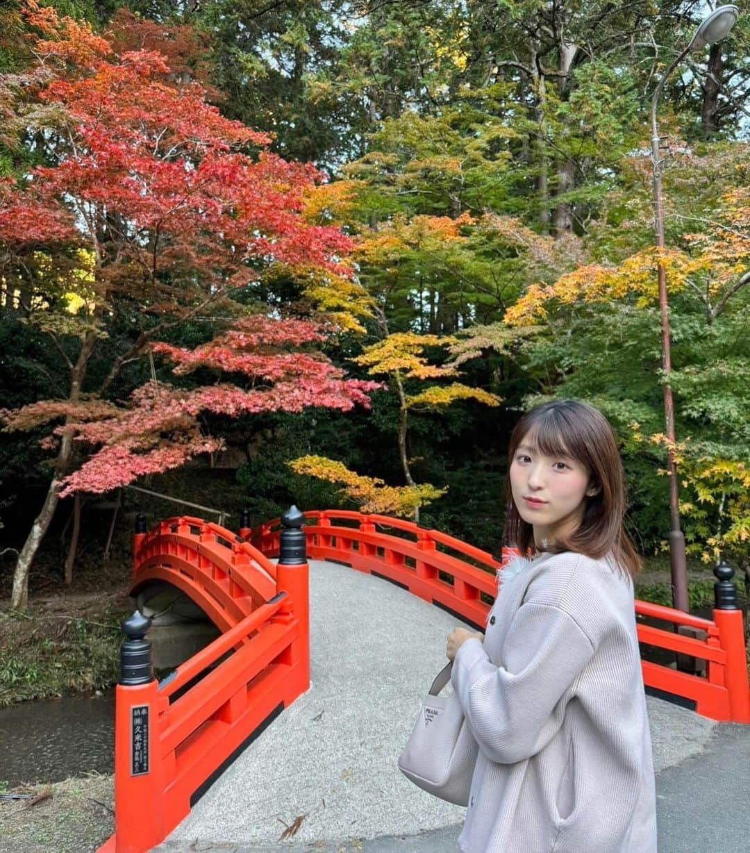 白木愛奈さんのインスタグラム写真 - (白木愛奈Instagram)「このまえ小國神社に行ってきました〜😊 以前は青葉もみじの様子を中継でお伝えしましたが、、この日はグラデーションが綺麗でした🍁  きょうは暖かかったですが、明日は真冬の寒さに⛄️ 気温のアップダウンが大きいですね。 この秋に入って2回も体調を崩してしまいました😵‍💫 みなさんもお気をつけください🙇‍♂️  #紅葉 #🍁 #静岡紅葉スポット #小國神社 #青空に浮かぶ月 - ̗̀🌙 ̖́-」11月24日 18時12分 - shiraki_mana