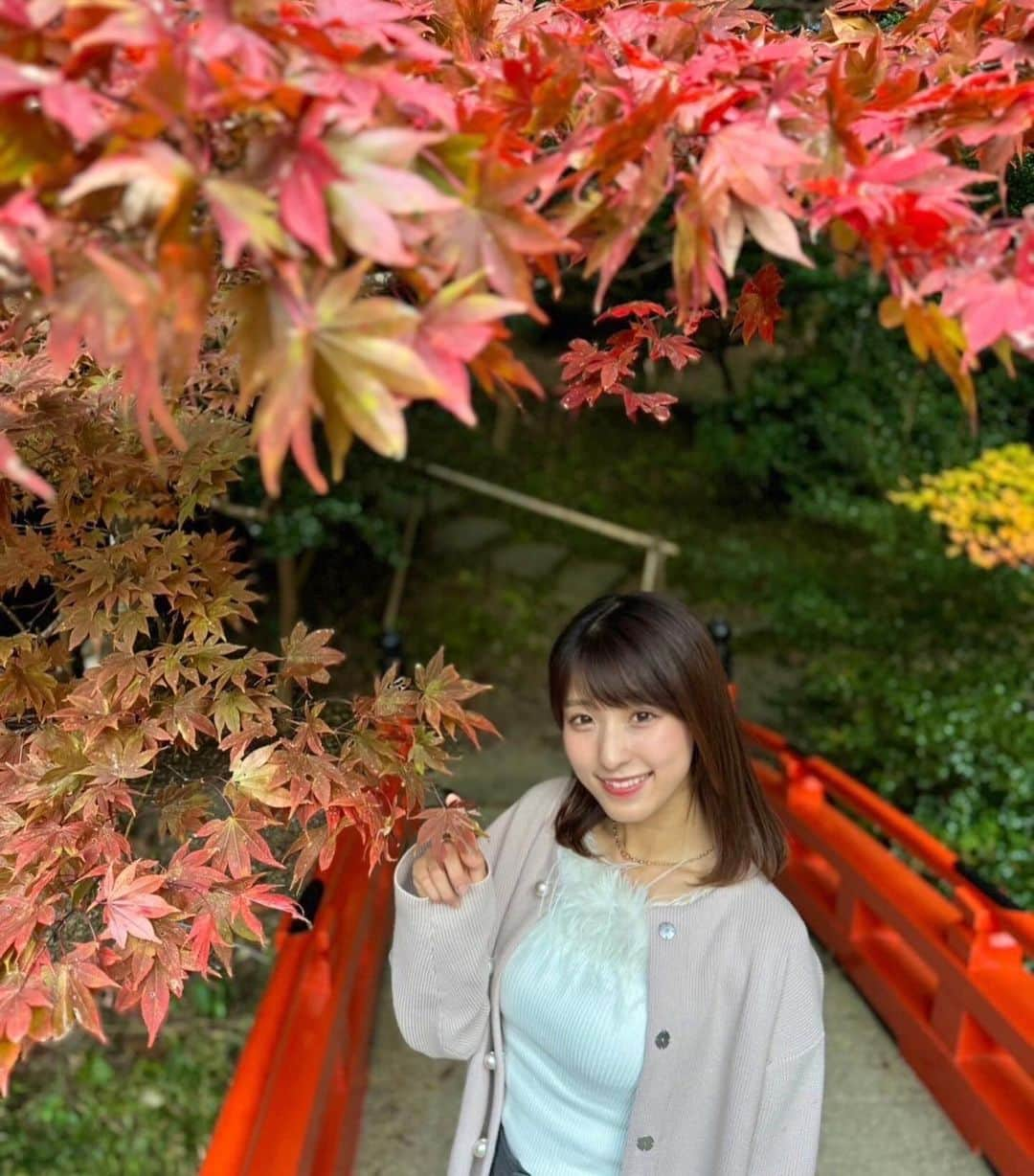 白木愛奈のインスタグラム：「このまえ小國神社に行ってきました〜😊 以前は青葉もみじの様子を中継でお伝えしましたが、、この日はグラデーションが綺麗でした🍁  きょうは暖かかったですが、明日は真冬の寒さに⛄️ 気温のアップダウンが大きいですね。 この秋に入って2回も体調を崩してしまいました😵‍💫 みなさんもお気をつけください🙇‍♂️  #紅葉 #🍁 #静岡紅葉スポット #小國神社 #青空に浮かぶ月 - ̗̀🌙 ̖́-」