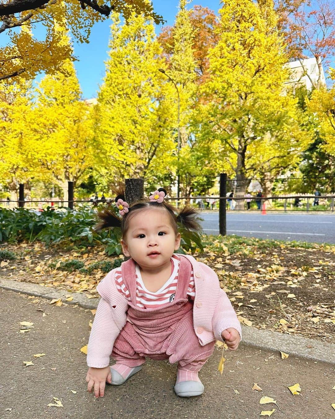 横町ももこさんのインスタグラム写真 - (横町ももこInstagram)「💖  銀杏並木さんぽ👶💛  今年の冬はあったかくてお散歩が楽しい🤝💕  #銀杏並木  #外苑前いちょう並木  #子育てママ  #赤ちゃんのいる生活  #赤ちゃんのいる暮らし  #10ヶ月ベビー  #10monthsold  #令和5年ベビー #女の子ベビー #👶🌸 #ベビーモデル #親子モデル #公式たまひよグラマー  #ブロガー #インフルエンサー #ママインフルエンサー #フリーランスモデル #横町ももこ」11月24日 18時19分 - momochadayo