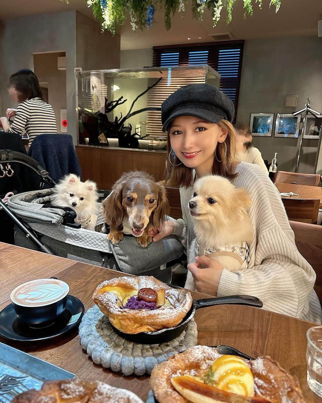 airiのインスタグラム：「⁡ 行きたかったi2カフェ行ってきた☕️💗 ⁡ 自分たち🐶のって勘違いして𓈒𓂂𓏸 バトル直前のムキッ顔が撮れた🤣🔥 ⁡ #いぬすたぐらむ #いぬのいる暮らし  #いぬのいる生活 #犬のいる暮らし  #犬のいる生活 #愛犬家 #愛犬 #ポメ #ミニチュアダックスフンド #多頭飼い  #ミニチュアダックス #ポメラニアン  #犬とお出かけ #ポメラニアンパピー #ポメラニアン子犬 #子犬 #パピー #i2 #i2cafe #表参道 #表参道カフェ」