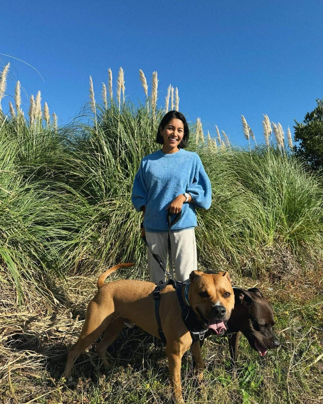 清宮佑美さんのインスタグラム写真 - (清宮佑美Instagram)「最近は 横浜⇆館山 の2拠点生活をしています🏠💛 横浜の自宅の近くの大きな公園の散歩コースも大好きだけど 館山の のどかな散歩道も大好き❤️🐕‍🦺🦮 散歩コースから眺める海がキラキラで 本当に気持ち良い✨ バルコナと過ごす時は ついつい時間を忘れちゃうので タイムキーパーは私のブライトリングに⌚️ バルコナを置いて 仕事に行くのが辛いのよね🥲 @breitling_japan   #breitling #mybreitling  #ブライトリング #superocean #スーパーオーシャン #squadonamission #時計女子 #ブライトリング女子  #バルコナ #愛犬  #pr」11月24日 18時20分 - yuumi_seimiya