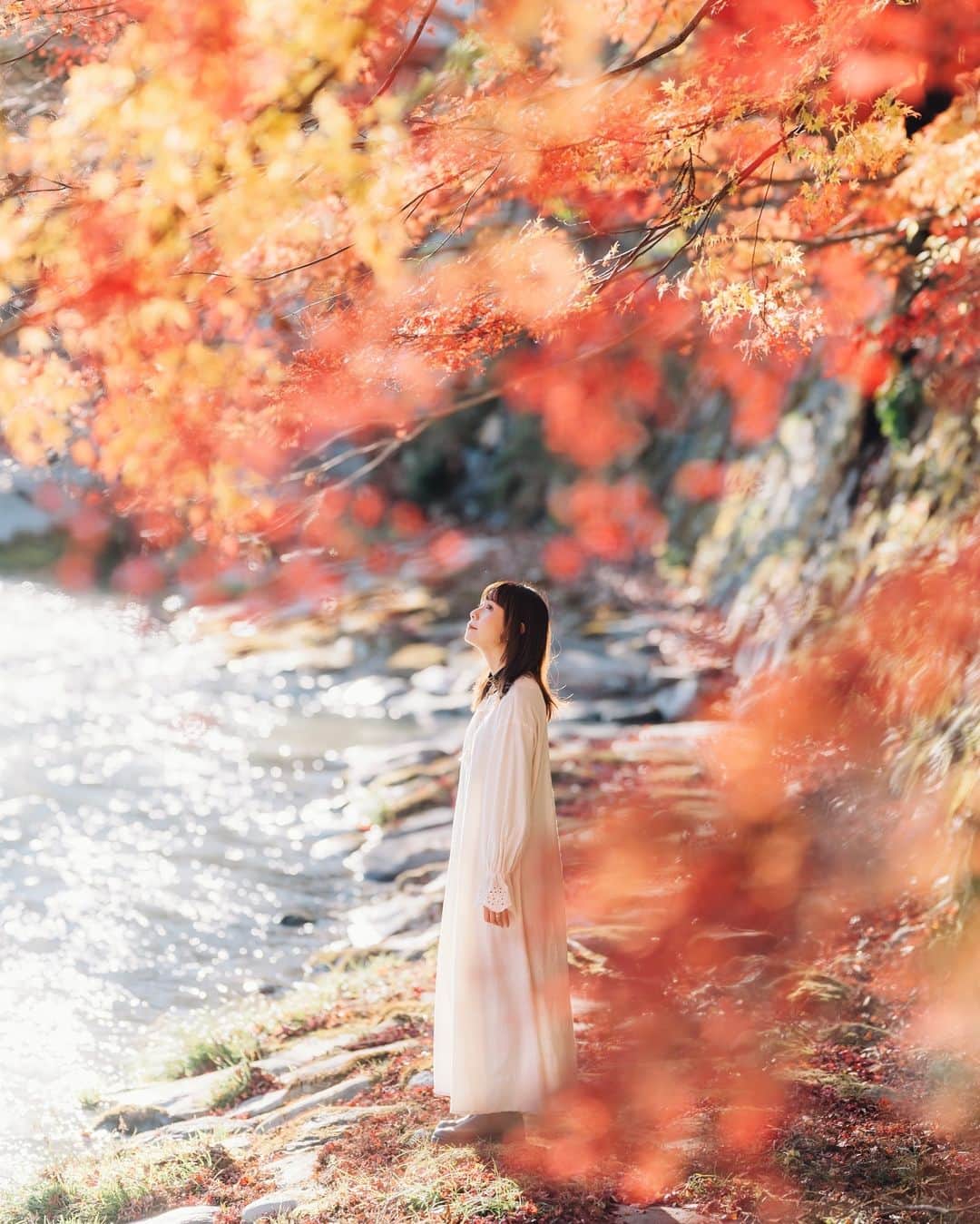 shinichi38のインスタグラム：「秋うらら ⁡ ⁡ 今年も美しい秋の景色を 堪能しました🍂まだもう少し 秋を楽しみたいな ⁡ ⁡ #Zf #Nikoncreators NIKKOR Z 135mm f/1.8 S Plena ⁡ ⁡」