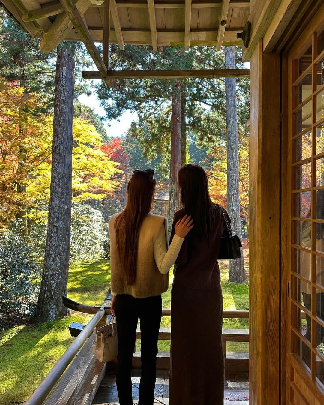 せたこのインスタグラム：「Enjoyed the autumn leaves with my sister 🍁 @takoyakey」