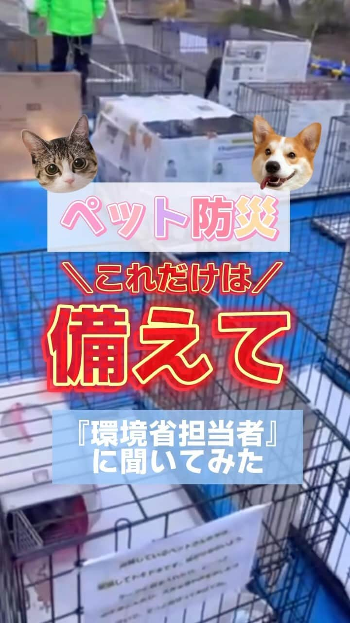 奥村奈津美のインスタグラム：「ペット飼ってる人は どんなペットを飼っているか？ コメント欄で教えてください🙇‍♀️  ペットは同行避難！ 詳しくは 環境省のホームページで ご確認ください🙇‍♀️ 「ペットの災害対策」と 検索いただくと ガイドラインや チェックリストなどを ご覧頂けます📱  ちなみに、 我が家は グッピーと やどかり 飼っています！  グッピーのエアポンプは 最近、太陽光のものに変更しました💪　  ________________________________________  子どもの命を守る、ママ・パパができる 「おうち防災」について まとめています◡̈︎  ▶︎ @natsumi19820521   よければ覗いてください⭐︎  ________________________________________  #ペット #猫 #犬 #ペット防災 #防災」