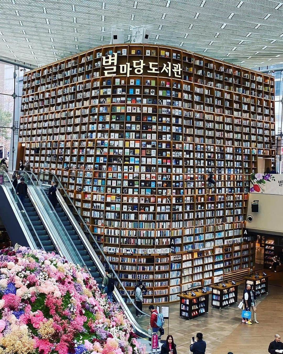 アシアナ航空日本地域公式アカウントさんのインスタグラム写真 - (アシアナ航空日本地域公式アカウントInstagram)「韓国の図書館めぐり📚  ┈┈┈┈┈┈┈┈┈┈ 韓国では無料で閲覧できる図書館がいくつかあります。  天井まで届く迫力満点の 「ピョルマダン図書館」 →高さ13ｍにも及ぶ巨大な書棚に圧巻！SNSでも話題のなっています。  自然豊かな雰囲気をたのしむことができる 「清雲文学図書館」 →図書閲覧目的でなくともゆっくりと休憩できる隠れおすすめスポットです。  📸@shipoooshi @meeeeeu kumiko.719  @reikonico  ┈┈┈┈┈┈┈┈┈┈   #アシアナ航空 #アシアナ #ASIANA #asianaair #asianaairlines #OZ #Flyasiana #韓国 #korea #韓国旅行 #✈️#ピョルマダン図書館 #ピョルマダン #清雲文学図書館 #韓国図書館」11月24日 19時04分 - asiana.jp_official