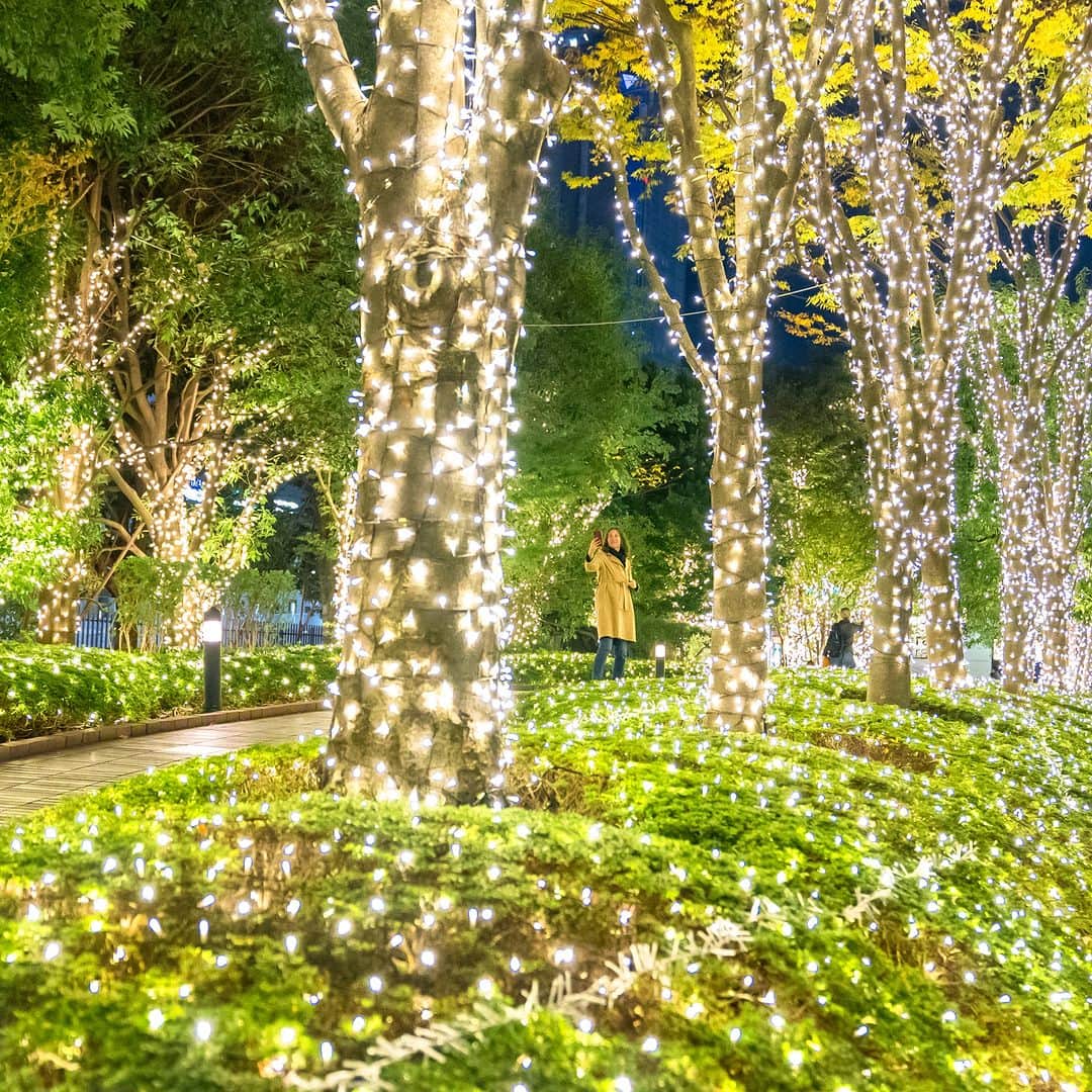 Park Hyatt Tokyo / パーク ハイアット東京のインスタグラム