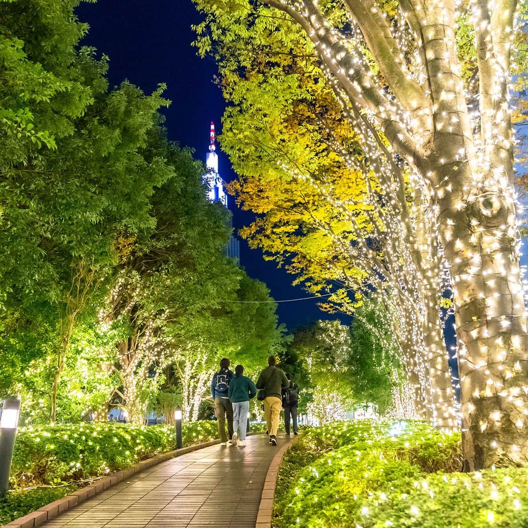 Park Hyatt Tokyo / パーク ハイアット東京さんのインスタグラム写真 - (Park Hyatt Tokyo / パーク ハイアット東京Instagram)「The city is now brilliantly illuminated and full of the holiday spirit!  まもなく訪れるホリデーシーズンを前に、美しいイルミネーションが街を彩り始めました。  Share your own images with us by tagging @parkhyatttokyo  ————————————————————— #parkhyatttokyo #luxuryispersonal  #discoverjapan #discovertokyo #tokyo #shinjuku #holidayspirit #illumintion #パークハイアット東京 #東京 #新宿 #サザンテラス #東京の夜 #イルミネーション #ホリデーシーズン」11月24日 19時04分 - parkhyatttokyo