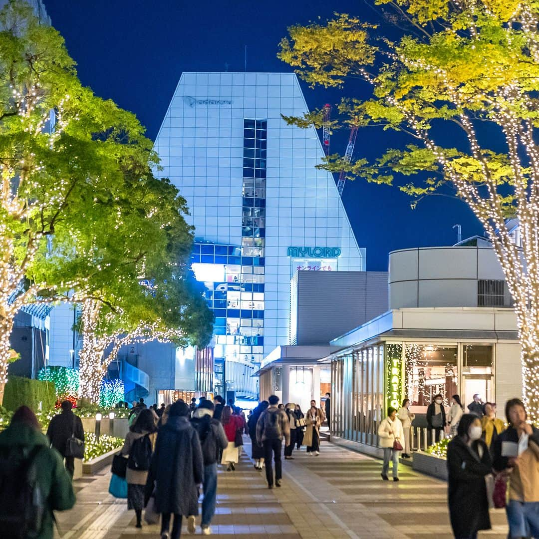 Park Hyatt Tokyo / パーク ハイアット東京さんのインスタグラム写真 - (Park Hyatt Tokyo / パーク ハイアット東京Instagram)「The city is now brilliantly illuminated and full of the holiday spirit!  まもなく訪れるホリデーシーズンを前に、美しいイルミネーションが街を彩り始めました。  Share your own images with us by tagging @parkhyatttokyo  ————————————————————— #parkhyatttokyo #luxuryispersonal  #discoverjapan #discovertokyo #tokyo #shinjuku #holidayspirit #illumintion #パークハイアット東京 #東京 #新宿 #サザンテラス #東京の夜 #イルミネーション #ホリデーシーズン」11月24日 19時04分 - parkhyatttokyo