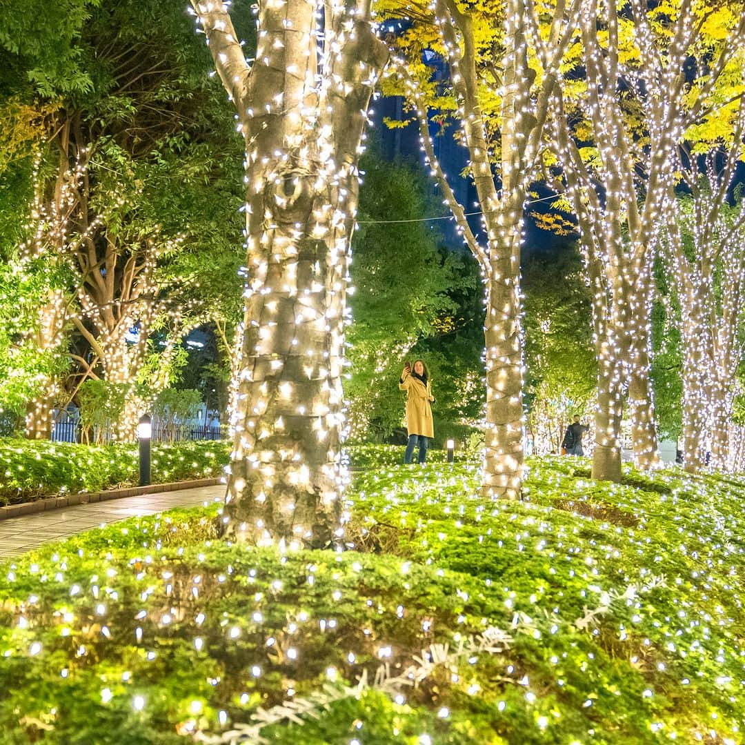 Park Hyatt Tokyo / パーク ハイアット東京さんのインスタグラム写真 - (Park Hyatt Tokyo / パーク ハイアット東京Instagram)「The city is now brilliantly illuminated and full of the holiday spirit!  まもなく訪れるホリデーシーズンを前に、美しいイルミネーションが街を彩り始めました。  Share your own images with us by tagging @parkhyatttokyo  ————————————————————— #parkhyatttokyo #luxuryispersonal  #discoverjapan #discovertokyo #tokyo #shinjuku #holidayspirit #illumintion #パークハイアット東京 #東京 #新宿 #サザンテラス #東京の夜 #イルミネーション #ホリデーシーズン」11月24日 19時04分 - parkhyatttokyo