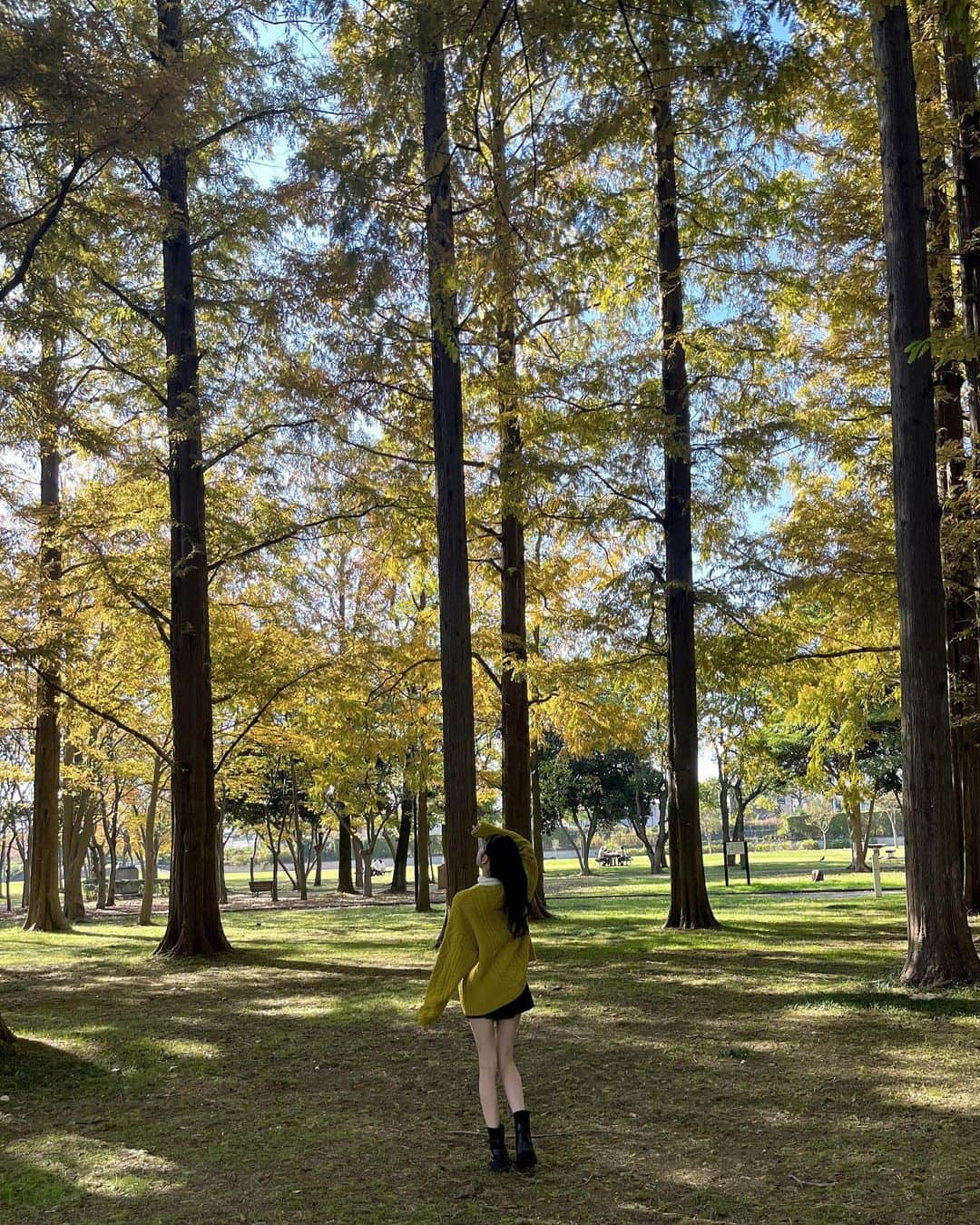 島袋香菜さんのインスタグラム写真 - (島袋香菜Instagram)「秋だね〜🍁♡  紅葉が綺麗で気になってた水元公園💭 今年ようやく行けた(˶ˊᵕˋ˵)  #水元公園 #紅葉 #紅葉スポット #秋コーデ」11月24日 19時16分 - _kanaloco_