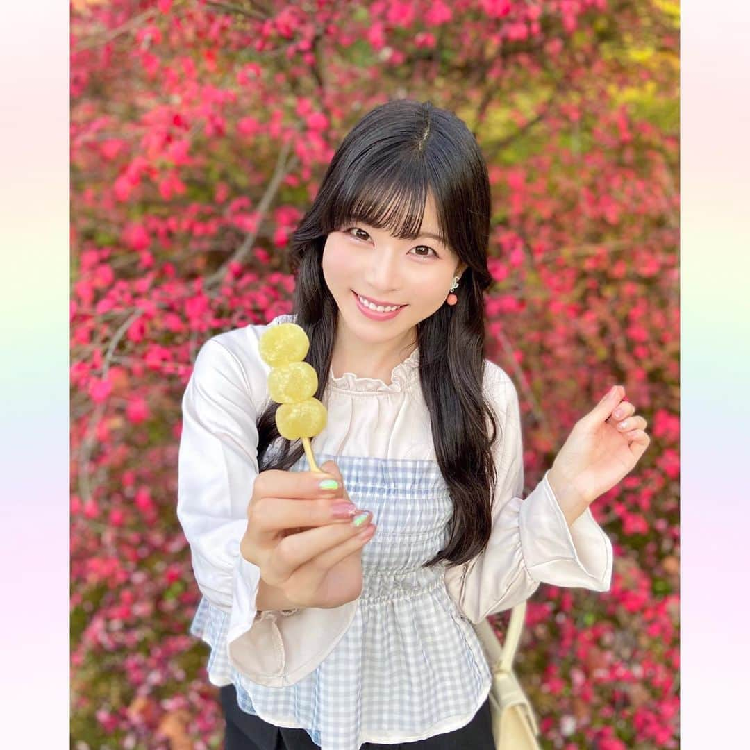 長柄ひろみさんのインスタグラム写真 - (長柄ひろみInstagram)「#Autumnleaves 🍁  花より団子は紅葉にも適応されるみたいです😋🍡  ここだけ綺麗に紅葉してたよー🍁  今日もポカポカ陽気で気持ちの良い日でした🌈 というより羽織ものを着てたら暑いぐらい！ 11月だよね🤔？  暖かくなったり寒くなったり、今年は何だか秋っぽい感じがあんまりないですね😌  ｡・ﾟ・。𖧷｡・ﾟ・。𖦞｡・ﾟ・。𖧷｡・ﾟ・｡𖦞。・ﾟ・。  #紅葉  #お団子」11月24日 19時26分 - aoi_asahi