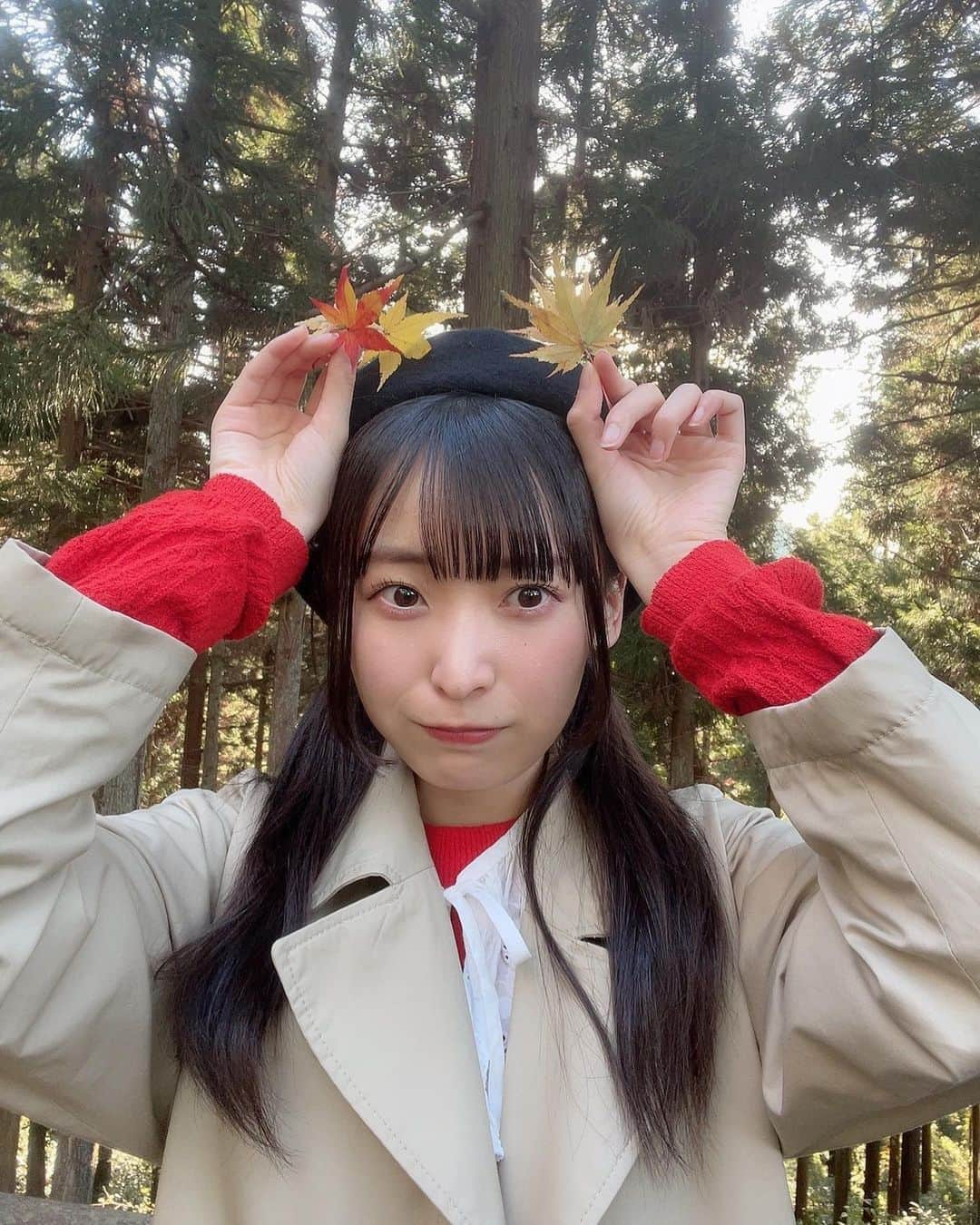 坂川陽香さんのインスタグラム写真 - (坂川陽香Instagram)「┗[•●•]┛」11月24日 19時21分 - hiyuka_sakagawa.1007