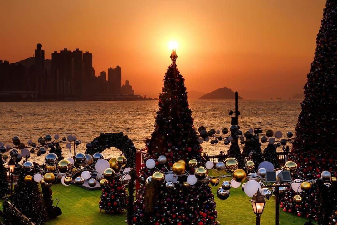 Discover Hong Kongさんのインスタグラム写真 - (Discover Hong KongInstagram)「[🎄The Hong Kong WinterFest opens today!🌟]​  🔔We have prepared tons of exciting programmes and vibrant festivities this year✨! Hong Kong’s West Kowloon Cultural District will transform into a Christmas town🎅 with a 20-metre-tall Christmas tree🎄, as well as charming Christmas huts and dazzling holiday decorations, all shining against the backdrop of Victoria Harbour from dusk till night. But there’s more; don’t miss the Winter Harbourfront Pyrotechnics in December, which will illuminate our night skies with warmth and romance. Get your camera ready 📷 and gather your loved ones to experience the festive spirit!​  🎅Hong Kong WinterFest 2023: Christmas Town ​ 📆 24 November 2023 – 1 January 2024​ 🕒Opening hours:​ Monday to Friday: 5pm to 11pm ​ Saturday and Sunday: 11am to 11pm ​ 22 December 2023 to 1 January 2024: 11am to 11pm ​ 24, 25 and 31 December 2023: 11am to 1am​ 📍Harbourside Lawn West, Art Park, West Kowloon Cultural District, Kowloon​  🌟 Winter Harbourfront Pyrotechnics​ 📆9, 10, 16, 17, 23, 24, 25 and 26 December 2023 (8 displays)​ 🕒8–8:10pm (around 10 minutes) ​ 📍Waters off Harbourside, Art Park, West Kowloon Cultural District, Kowloon​ 🔗Visit https://bit.ly/49EVizF for more information! ​  【🎄香港繽紛冬日巡禮今日開鑼🌟體驗最熱鬧嘅節日氣氛❄️】​  🔔今年準備咗好多好多精采節目等你參與！西九文化區將會搖身一變成為聖誕小鎮🎅，喺維港景色映照下，除咗有20米高嘅巨型聖誕樹🎄，仲有聖誕小屋同繽紛奪目嘅閃令令節日裝飾，等大家擺擺pose打打卡，由黃昏影到夜晚📷～為咗將氣氛推到頂點，12月更會有冬日水上煙火表演，照亮維港夜空，既溫馨又浪漫！即刻約親朋好友嚟感受濃厚嘅節日氣氛啦！🎁🎇​  🎅香港繽紛冬日巡禮2023：聖誕小鎮​ 📆 2023年11月24日至2024年1月1日​ 🕒開放時間：​ 星期一至五：下午5:00至晚上11:00​ 星期六、日：上午11:00至晚上11:00​ 2023年12月22日至2024年1月1日：上午11:00至晚上11:00​ 2023年12月24至25日、12月31日：上午11:00至翌日凌晨1:00​ 📍九龍西九文化區藝術公園海濱草坪西面​  🌟冬日水上煙火​ 📆 2023年12月9日、10日、16日、17日、23日、24日、25日和26日（共8場）​ 🕒 晚上8:00至8:10（約10分鐘）​ 📍九龍西九文化區藝術公園海濱長廊鄰近海面​ 🔗即刻上 https://bit.ly/3FZ4a5D 了解更多資訊啦！​  #Winterfest2023 #HelloHongKong #DiscoverHongKong 🎄🌟🎄🌟🎄🌟🎄🌟🎄🌟🎄🌟🎄🌟🎄🌟🎄🌟 What else can you do at night in Hong Kong?🌃 Stay tuned for our #HongKongAfter6 !👀 想知嚟緊夜晚有乜玩？🌃記得跟貼我哋嘅 #HongKongAfter6 ，更多節日盛事、玩樂好去處等緊你！👀」11月24日 19時24分 - discoverhongkong