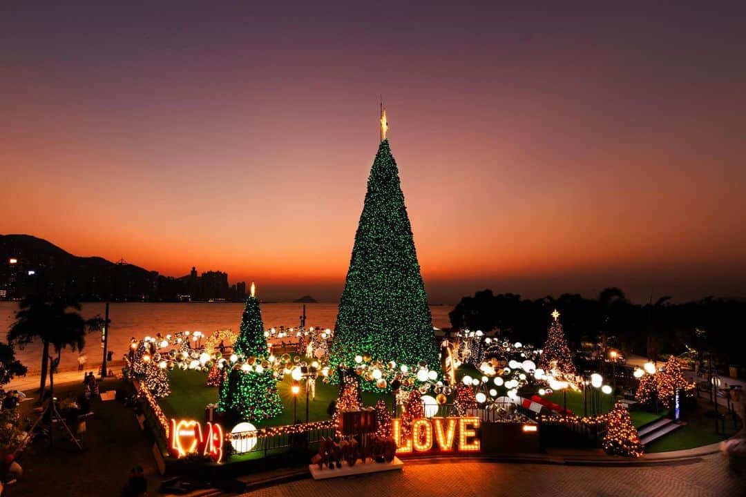 Discover Hong Kongのインスタグラム：「[🎄The Hong Kong WinterFest opens today!🌟]​  🔔We have prepared tons of exciting programmes and vibrant festivities this year✨! Hong Kong’s West Kowloon Cultural District will transform into a Christmas town🎅 with a 20-metre-tall Christmas tree🎄, as well as charming Christmas huts and dazzling holiday decorations, all shining against the backdrop of Victoria Harbour from dusk till night. But there’s more; don’t miss the Winter Harbourfront Pyrotechnics in December, which will illuminate our night skies with warmth and romance. Get your camera ready 📷 and gather your loved ones to experience the festive spirit!​  🎅Hong Kong WinterFest 2023: Christmas Town ​ 📆 24 November 2023 – 1 January 2024​ 🕒Opening hours:​ Monday to Friday: 5pm to 11pm ​ Saturday and Sunday: 11am to 11pm ​ 22 December 2023 to 1 January 2024: 11am to 11pm ​ 24, 25 and 31 December 2023: 11am to 1am​ 📍Harbourside Lawn West, Art Park, West Kowloon Cultural District, Kowloon​  🌟 Winter Harbourfront Pyrotechnics​ 📆9, 10, 16, 17, 23, 24, 25 and 26 December 2023 (8 displays)​ 🕒8–8:10pm (around 10 minutes) ​ 📍Waters off Harbourside, Art Park, West Kowloon Cultural District, Kowloon​ 🔗Visit https://bit.ly/49EVizF for more information! ​  【🎄香港繽紛冬日巡禮今日開鑼🌟體驗最熱鬧嘅節日氣氛❄️】​  🔔今年準備咗好多好多精采節目等你參與！西九文化區將會搖身一變成為聖誕小鎮🎅，喺維港景色映照下，除咗有20米高嘅巨型聖誕樹🎄，仲有聖誕小屋同繽紛奪目嘅閃令令節日裝飾，等大家擺擺pose打打卡，由黃昏影到夜晚📷～為咗將氣氛推到頂點，12月更會有冬日水上煙火表演，照亮維港夜空，既溫馨又浪漫！即刻約親朋好友嚟感受濃厚嘅節日氣氛啦！🎁🎇​  🎅香港繽紛冬日巡禮2023：聖誕小鎮​ 📆 2023年11月24日至2024年1月1日​ 🕒開放時間：​ 星期一至五：下午5:00至晚上11:00​ 星期六、日：上午11:00至晚上11:00​ 2023年12月22日至2024年1月1日：上午11:00至晚上11:00​ 2023年12月24至25日、12月31日：上午11:00至翌日凌晨1:00​ 📍九龍西九文化區藝術公園海濱草坪西面​  🌟冬日水上煙火​ 📆 2023年12月9日、10日、16日、17日、23日、24日、25日和26日（共8場）​ 🕒 晚上8:00至8:10（約10分鐘）​ 📍九龍西九文化區藝術公園海濱長廊鄰近海面​ 🔗即刻上 https://bit.ly/3FZ4a5D 了解更多資訊啦！​  #Winterfest2023 #HelloHongKong #DiscoverHongKong 🎄🌟🎄🌟🎄🌟🎄🌟🎄🌟🎄🌟🎄🌟🎄🌟🎄🌟 What else can you do at night in Hong Kong?🌃 Stay tuned for our #HongKongAfter6 !👀 想知嚟緊夜晚有乜玩？🌃記得跟貼我哋嘅 #HongKongAfter6 ，更多節日盛事、玩樂好去處等緊你！👀」