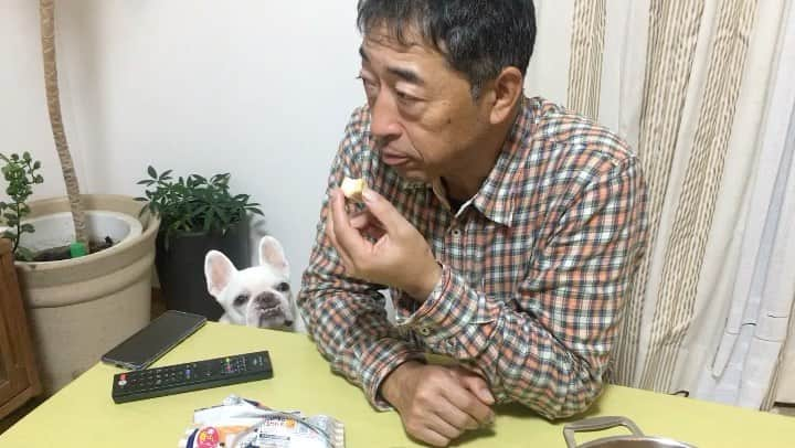 ちえぶぅたのインスタグラム：「ご飯食べた後にモナカアイスと焼き芋までしっかり完食。 育ち盛りかよ！」