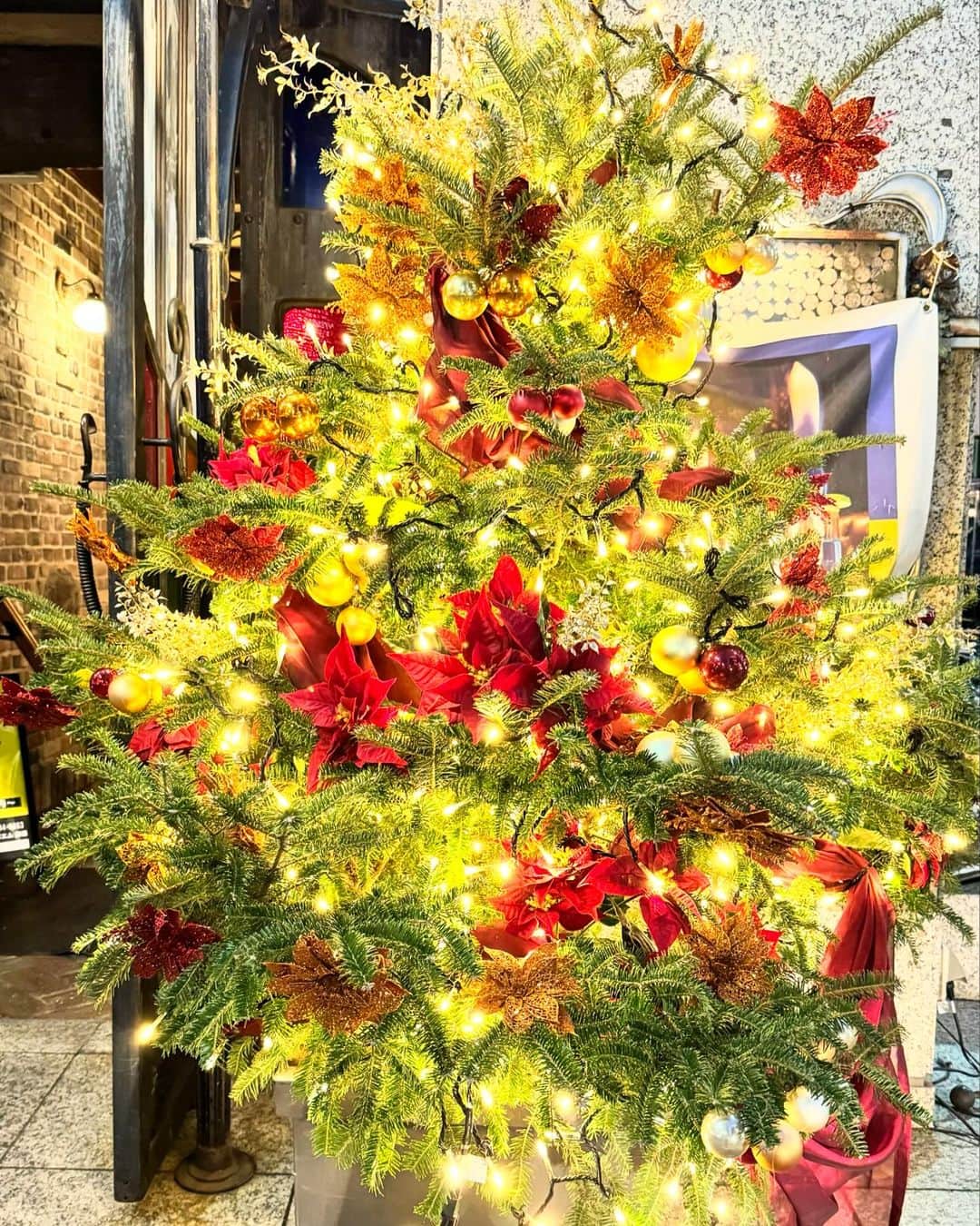 荻野由佳のインスタグラム：「毎年みに行く外苑前銀杏並木で 今年も紅葉を見れました🍁 歩いているといくつも見つけるクリスマスツリーも とても綺麗で、  思ったより大きめのサラダも食べて とても良い一日でした¨̮⃝  何にでも合うJUMELLEのバッグが とてもお気に入りです👜🍁#pr」