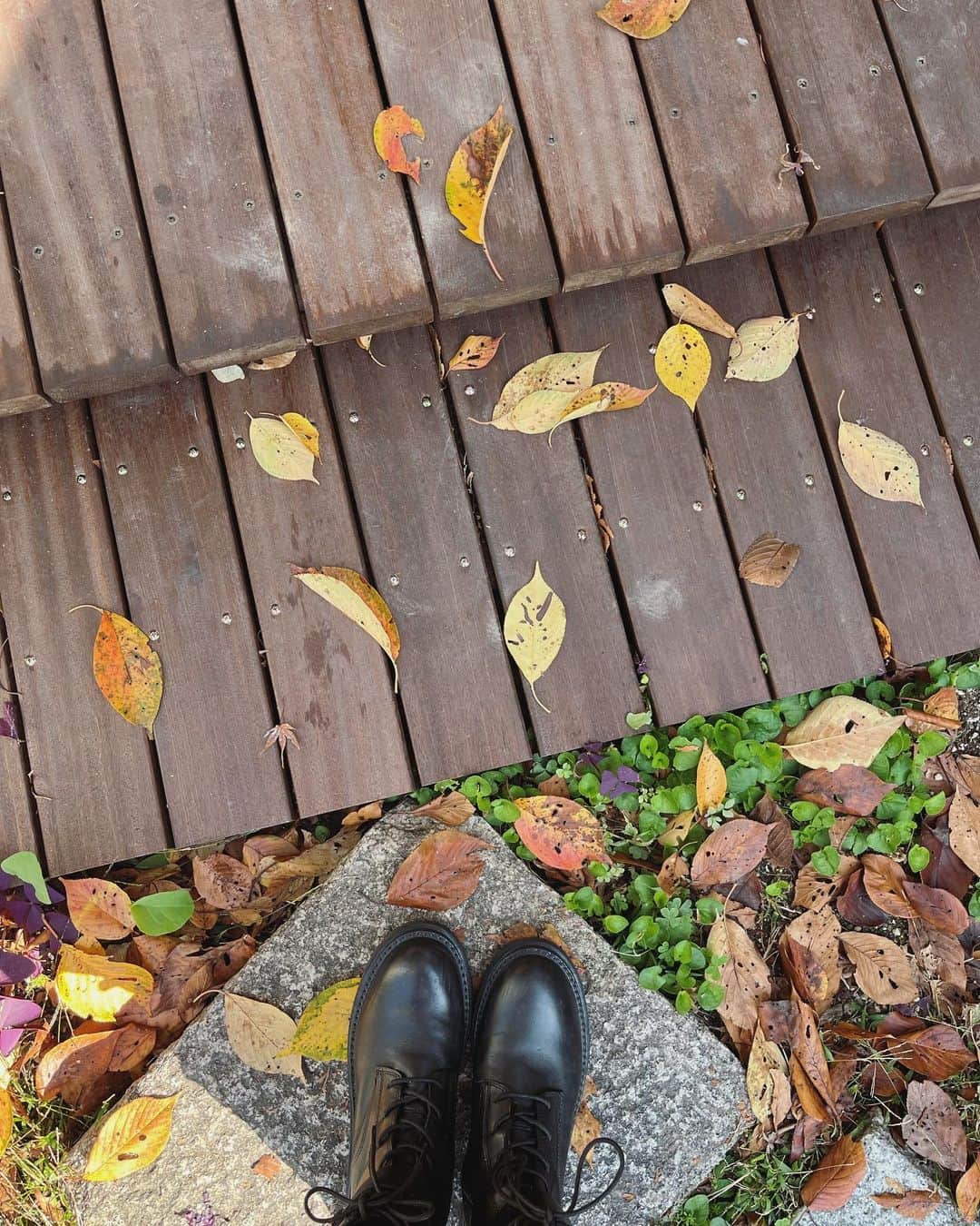 林萌々香のインスタグラム：「景色がすっかり秋カラー🍂 落ち葉の感じも好きなんです☺️✨ 暗くなるのも早くなったな〜🌝  #autumnvibes」