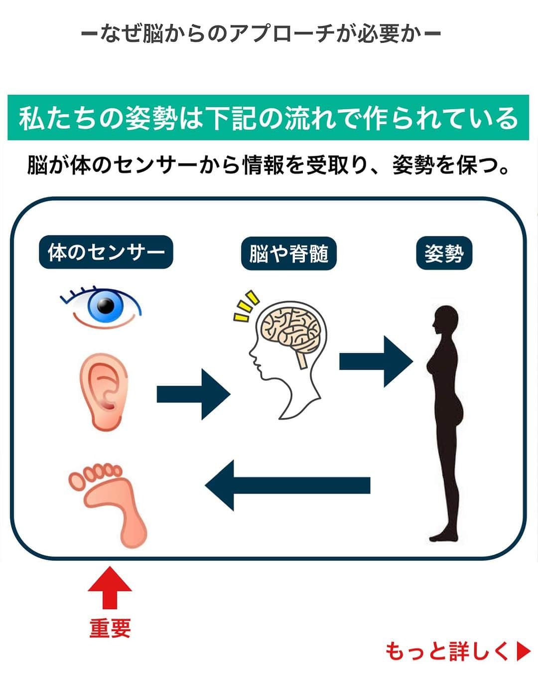 ひろ先生さんのインスタグラム写真 - (ひろ先生Instagram)「なぜ脳から変えるトレーニングが必要なのか？ について解説いたしました。 MoRinga-GYMで皆様にお会い出来るのを楽しみにしております。 他の投稿→@hiroki_morioka_   【MoRinga-GYM 】ご予約受付中！ ・ ▶︎女優・タレント・ファッション専属モデルも通う、日本最先端・脳から変える🧠姿勢改善／ボディメイク  ▶︎ 一生役立つ・正しい日常の過ごし方が身につき、姿勢不良やボディメイク等のお悩みも根本改善  【パーソナルトレーニング】 ▶︎入会金→なし（無料キャンペーン中） ▶︎初回体験→¥4,000  ▶︎1回60分→¥8,000〜  【ペアトレーニング】 ▶︎入会金→なし（無料キャンペーン中） ▶︎初回体験→¥3,000  ▶︎1回60分→¥4,500〜  @hiroki_morioka_  プロフィールURLのホームページからご予約お待ちしております。  ※ご予約既に埋まってきております🙏 気になる方はお早めに！   #MORINGAGYM」11月24日 20時05分 - hiroki_morioka_