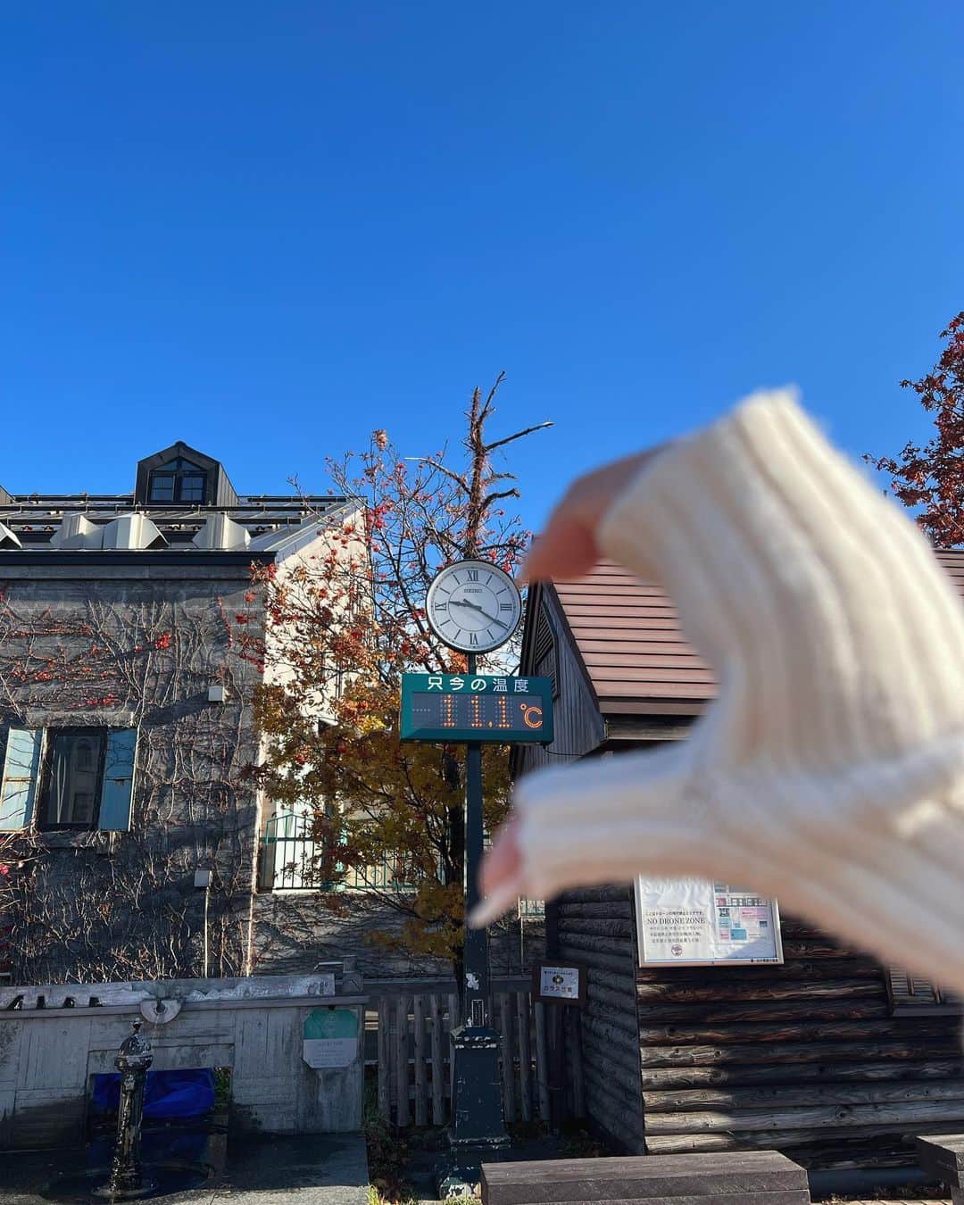 小椋梨央さんのインスタグラム写真 - (小椋梨央Instagram)「_  北海道旅行🩵❄︎ たくさん美味しいものを食べてきました！」11月24日 20時12分 - rio_ogura_official