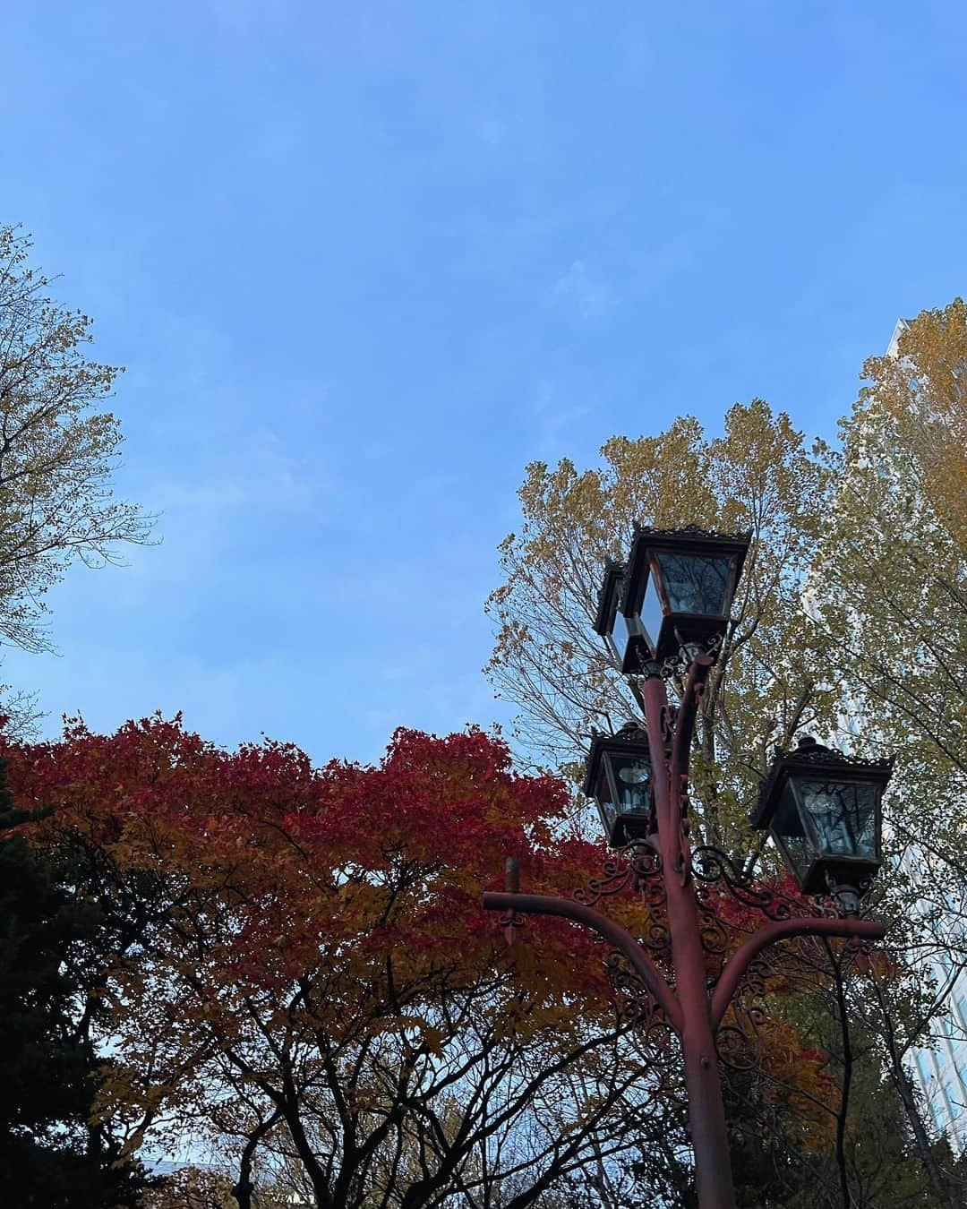 小椋梨央さんのインスタグラム写真 - (小椋梨央Instagram)「_  北海道旅行🩵❄︎ たくさん美味しいものを食べてきました！」11月24日 20時12分 - rio_ogura_official